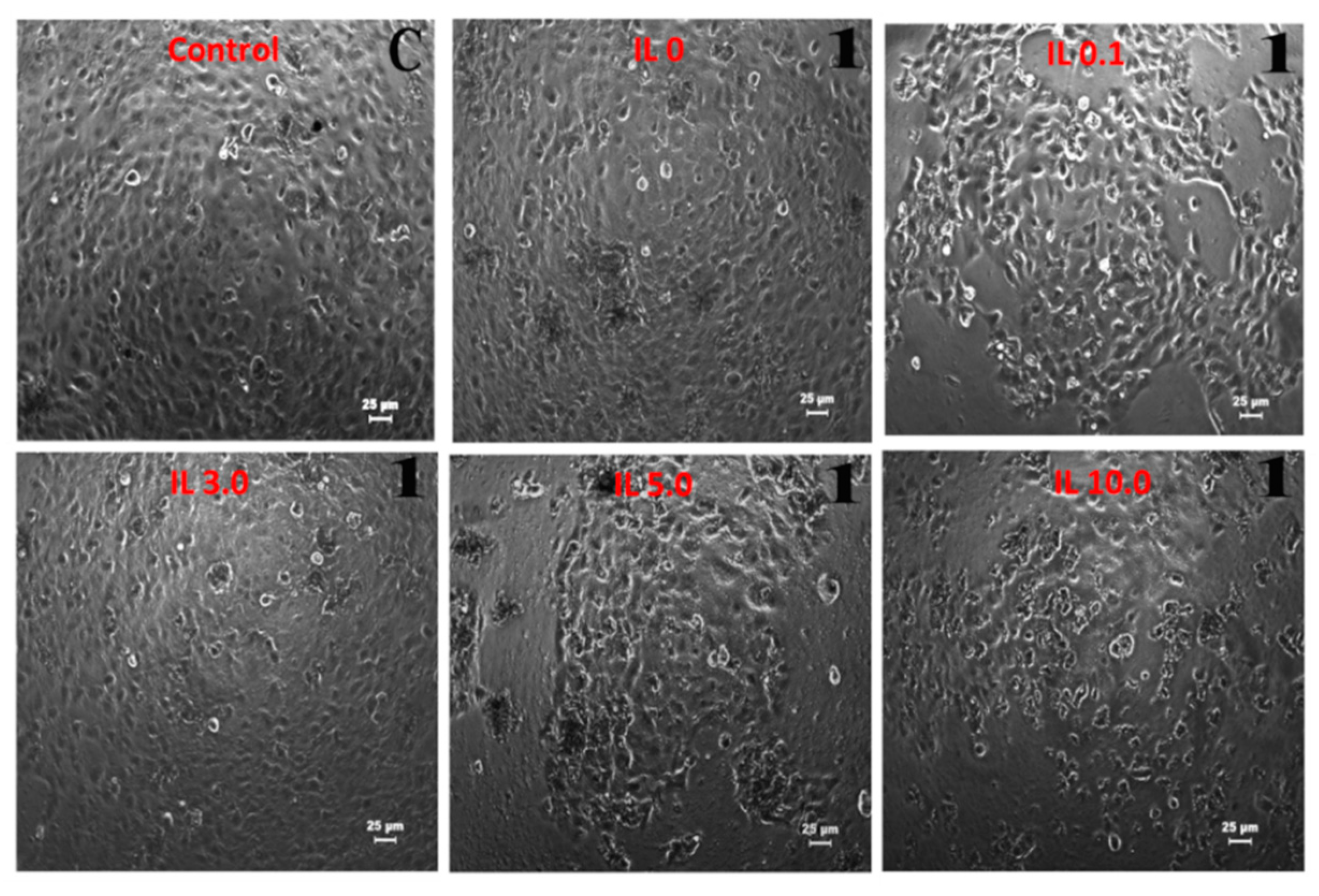 Applsci 11 00206 g008