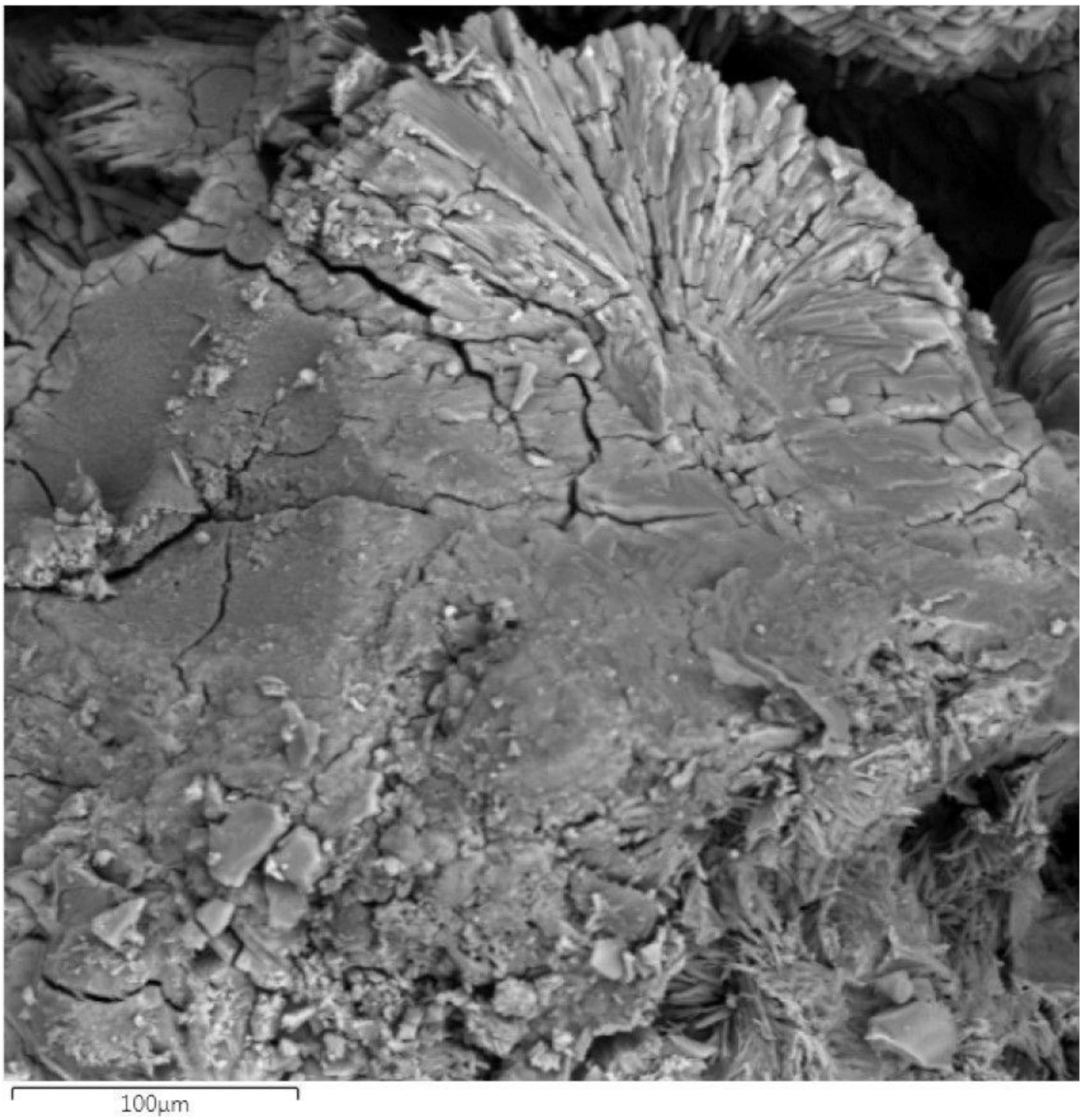 Applsci 11 00220 g006 Applsci 11 00220 g006