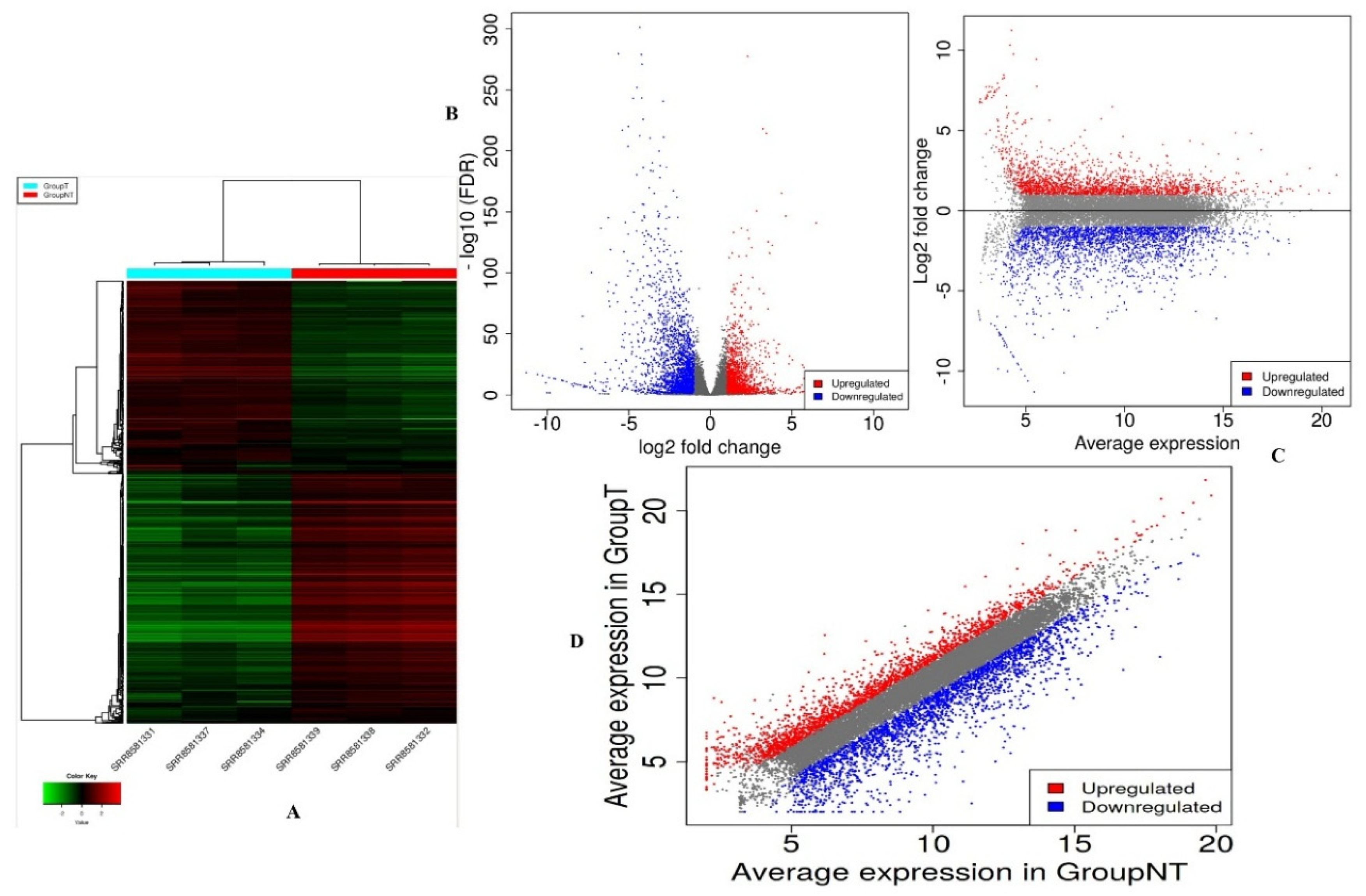 Applsci 11 00226 g002 Applsci 11 00226 g002