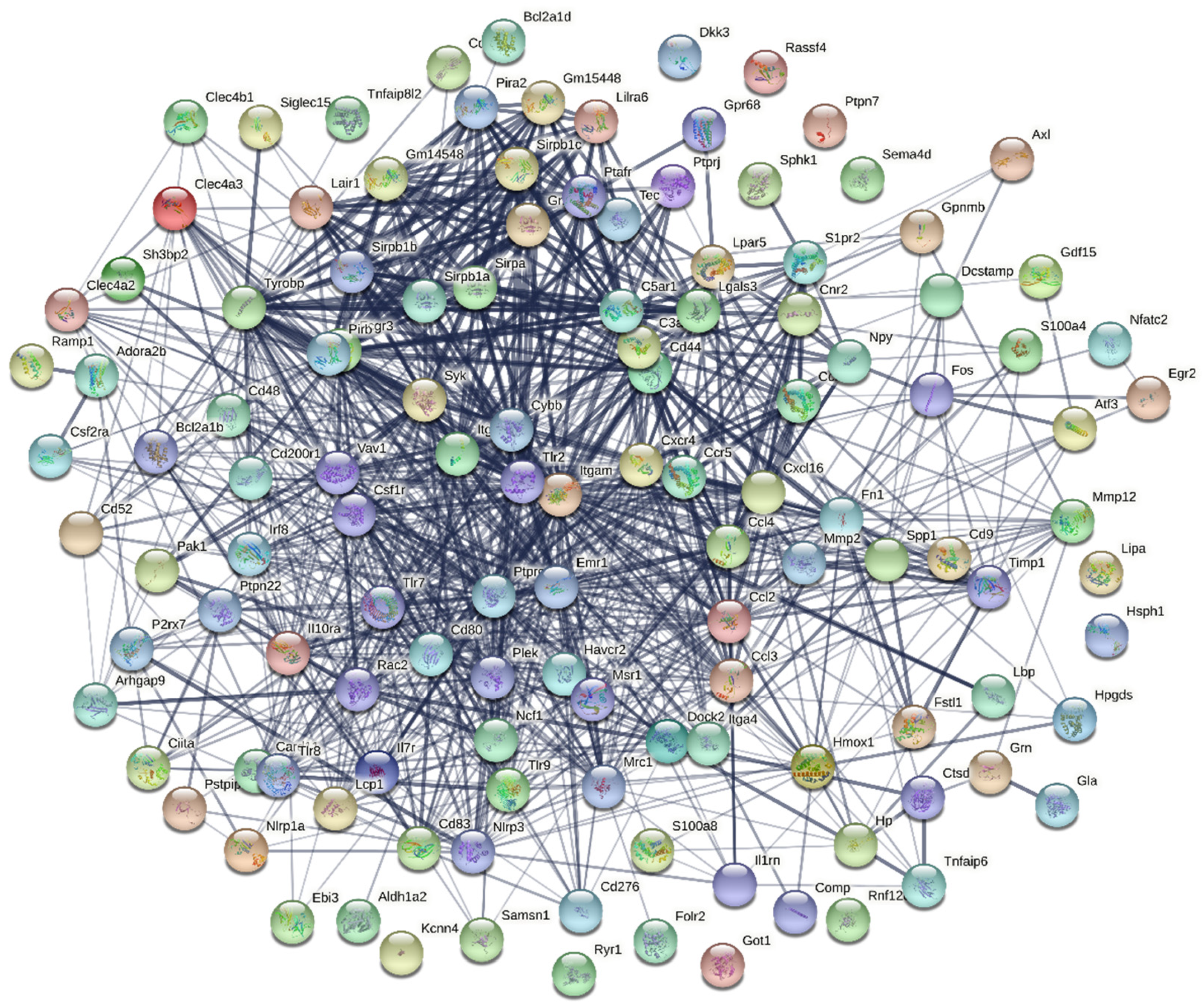 Applsci 11 00226 g006 Applsci 11 00226 g006