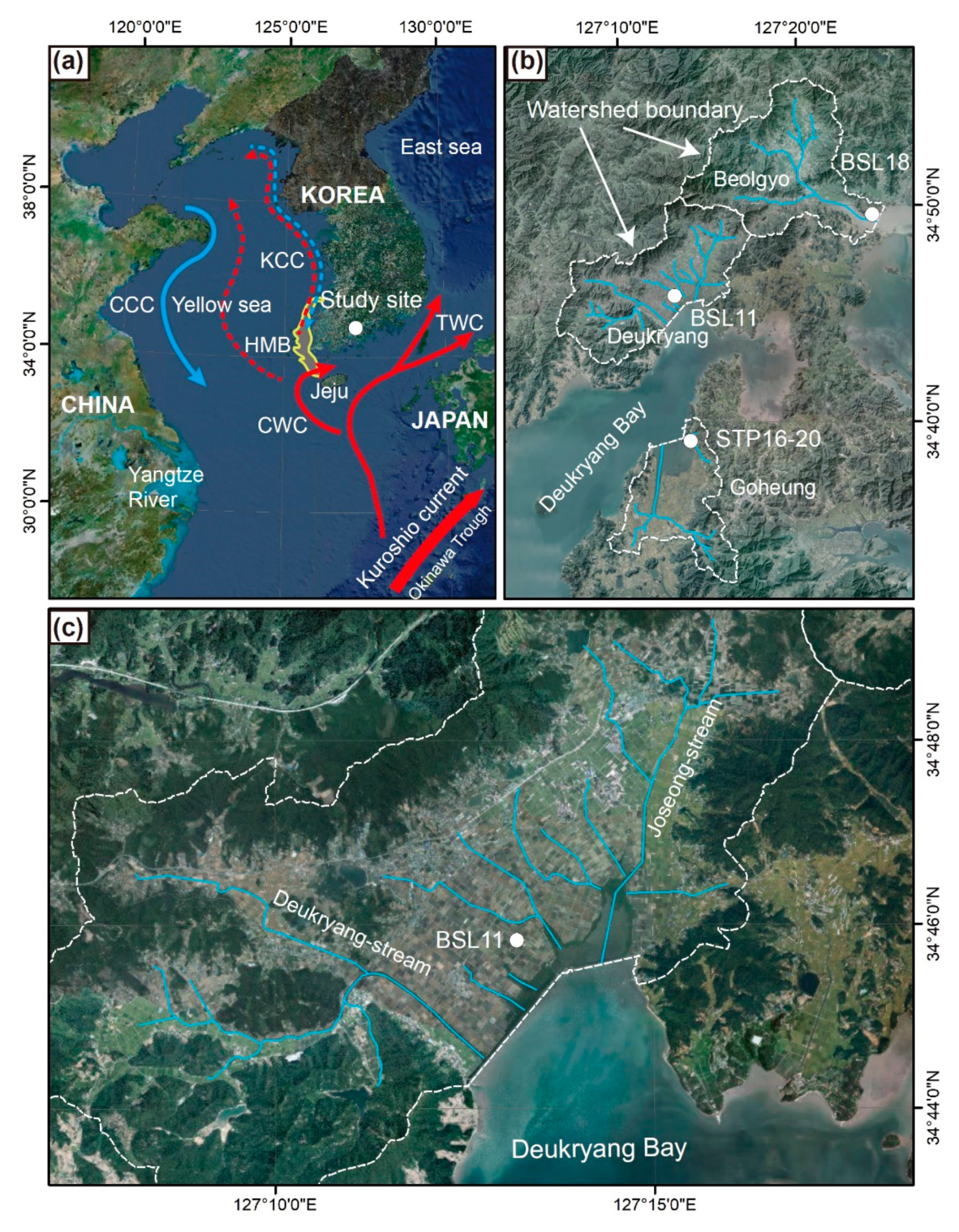 Applsci 11 00230 g001