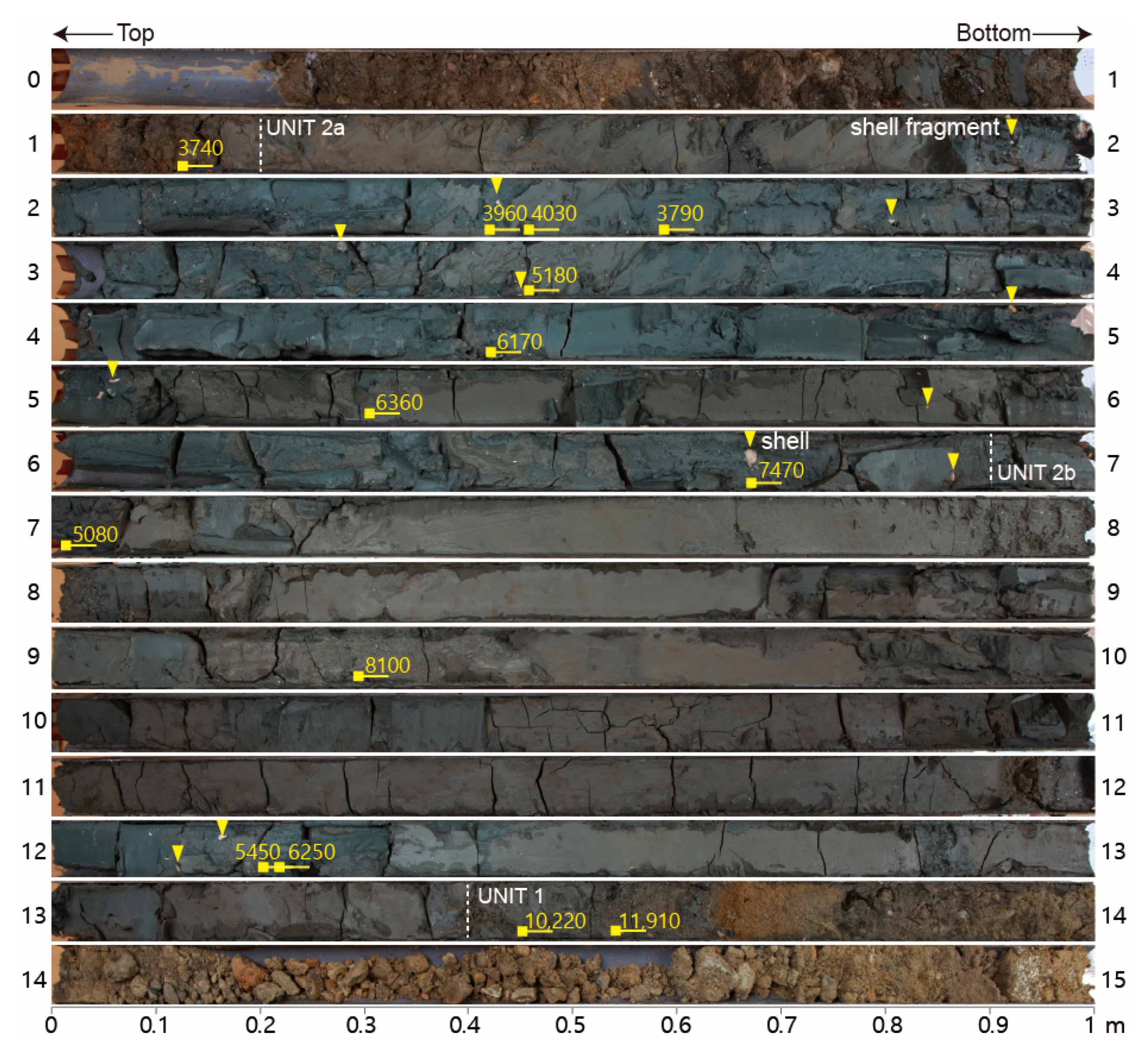 Applsci 11 00230 g002