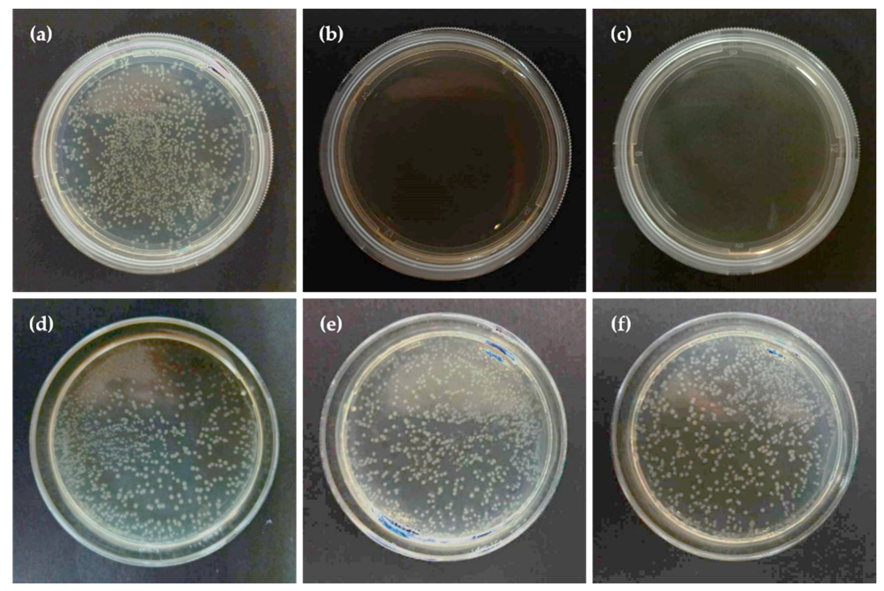 Applsci 11 00243 g003