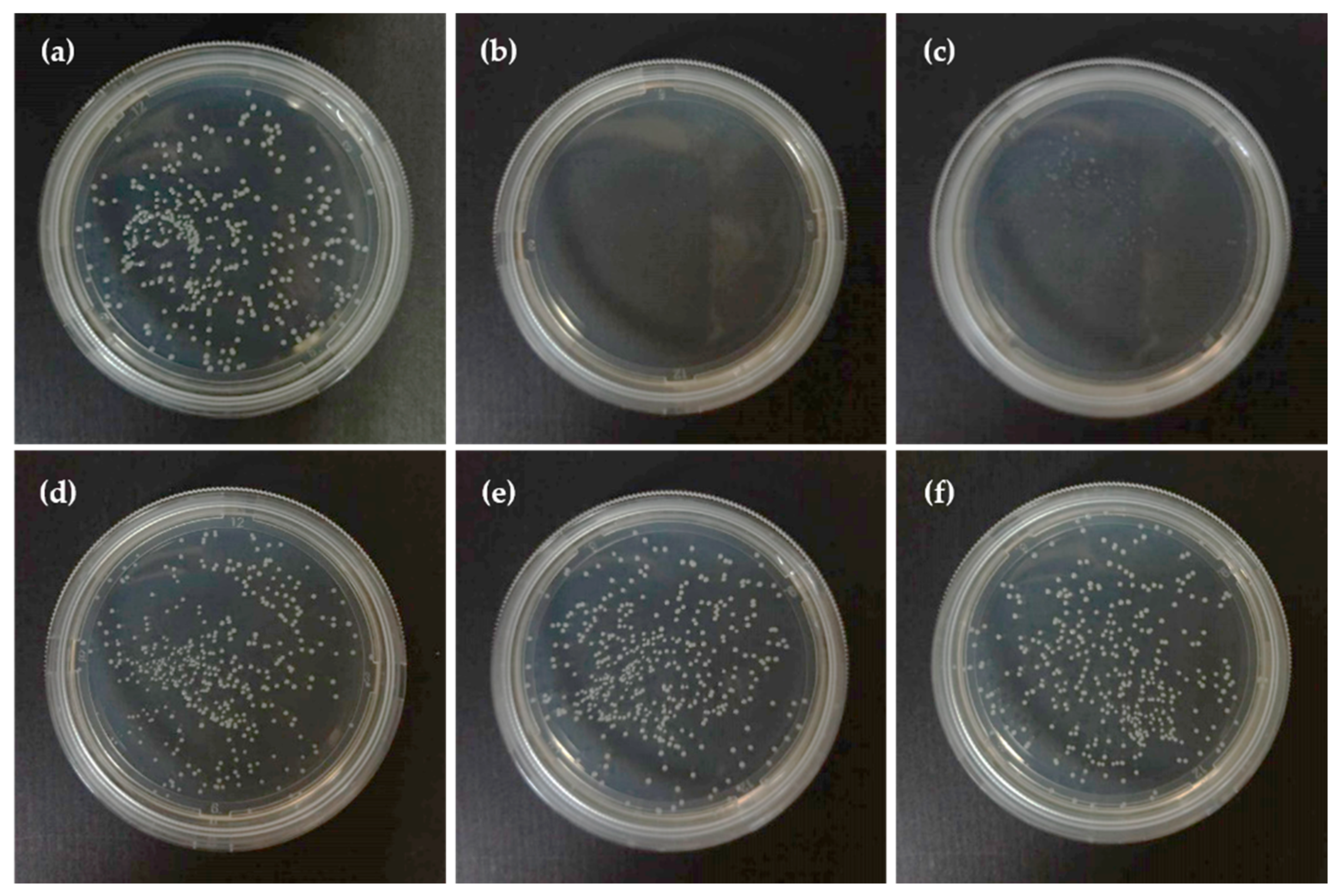 Applsci 11 00243 g004