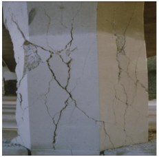 Applsci 11 00252 i008 Applsci 11 00252 i008