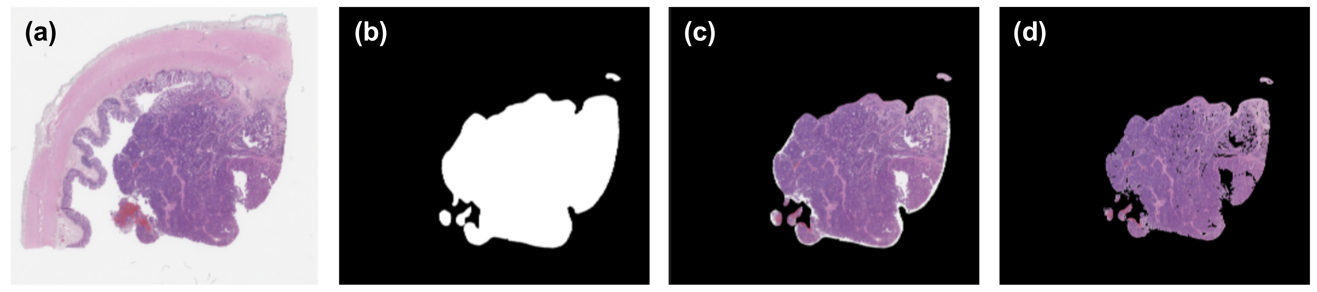 Applsci 11 00254 g002 Applsci 11 00254 g002