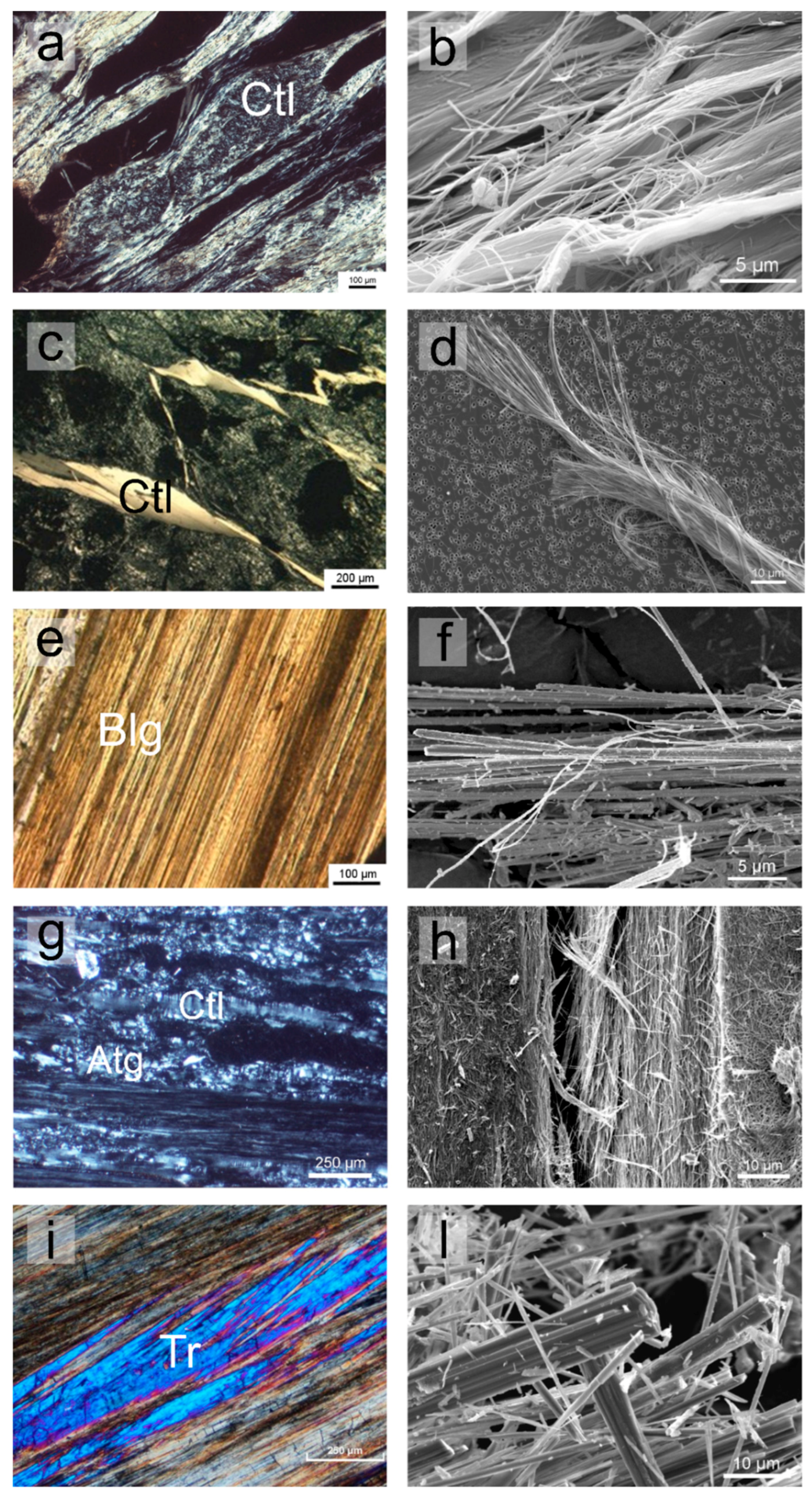 Applsci 11 00287 g002