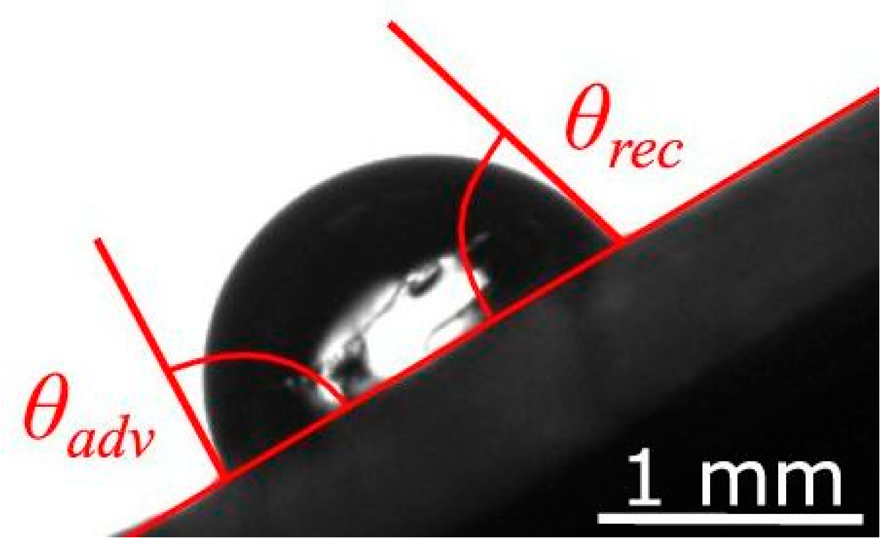 Applsci 11 00300 g002