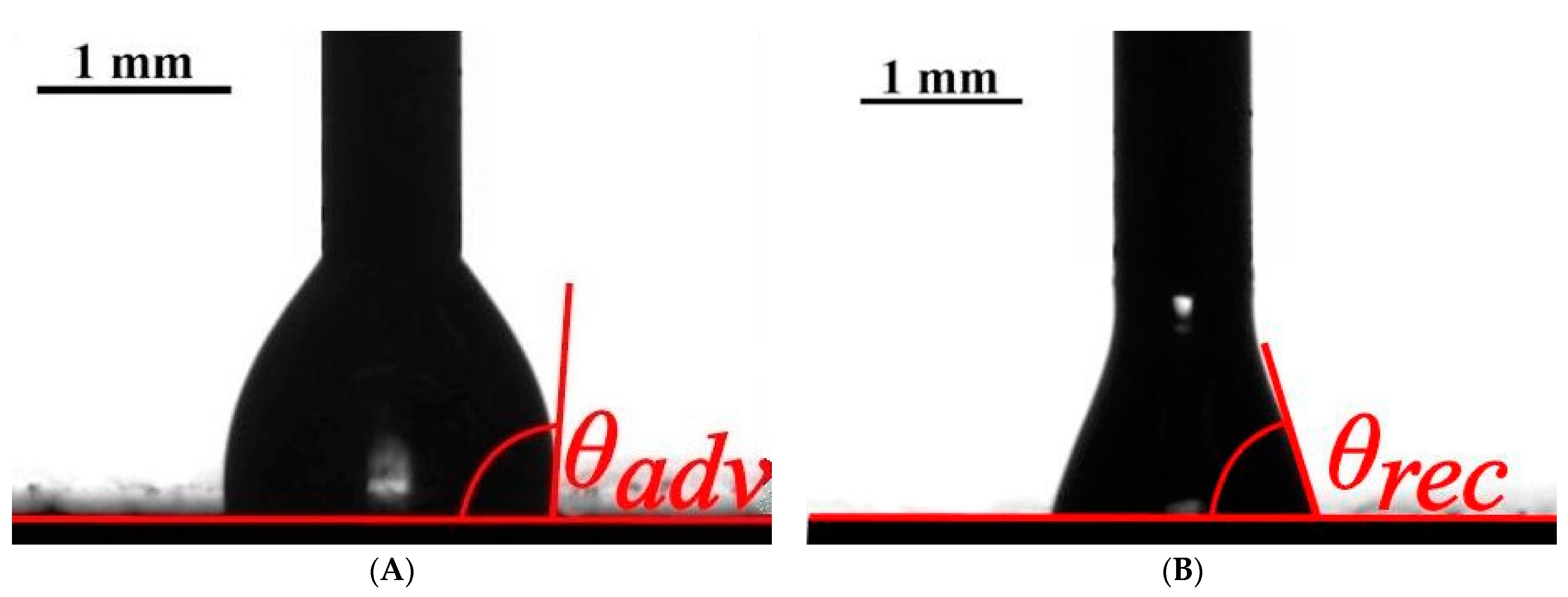 Applsci 11 00300 g003