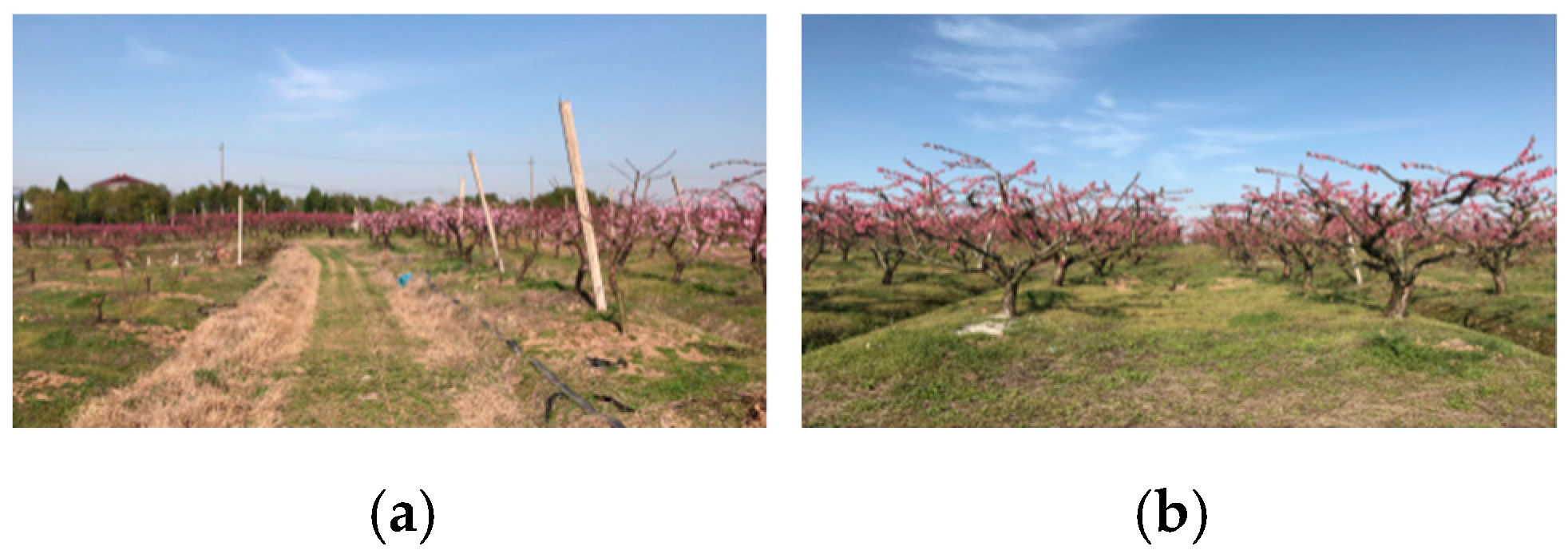 Applsci 11 00322 g001