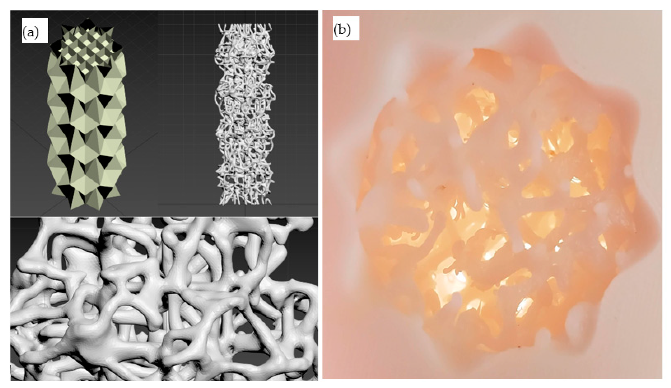 Applsci 11 00332 g006