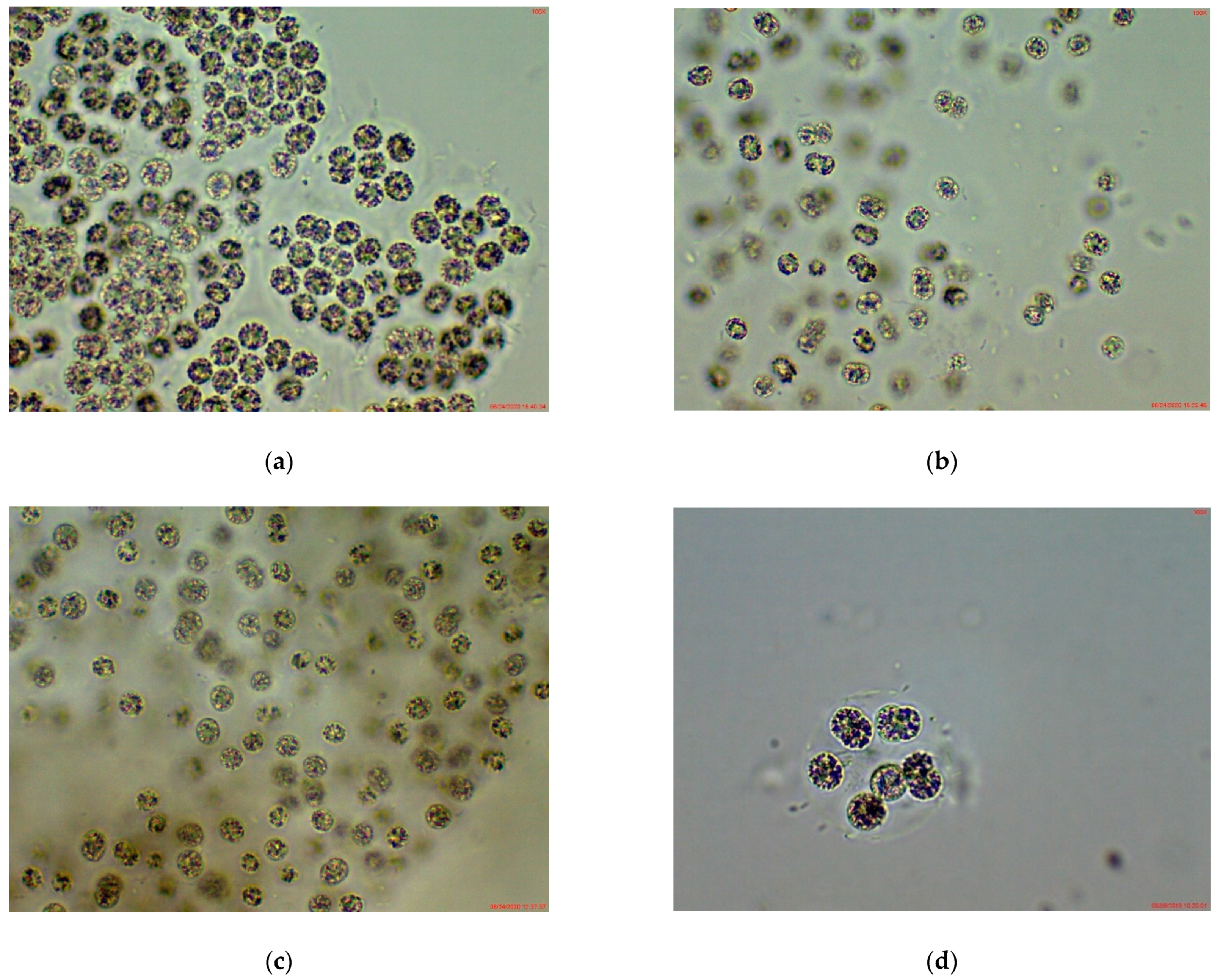 Applsci 11 00357 g005a