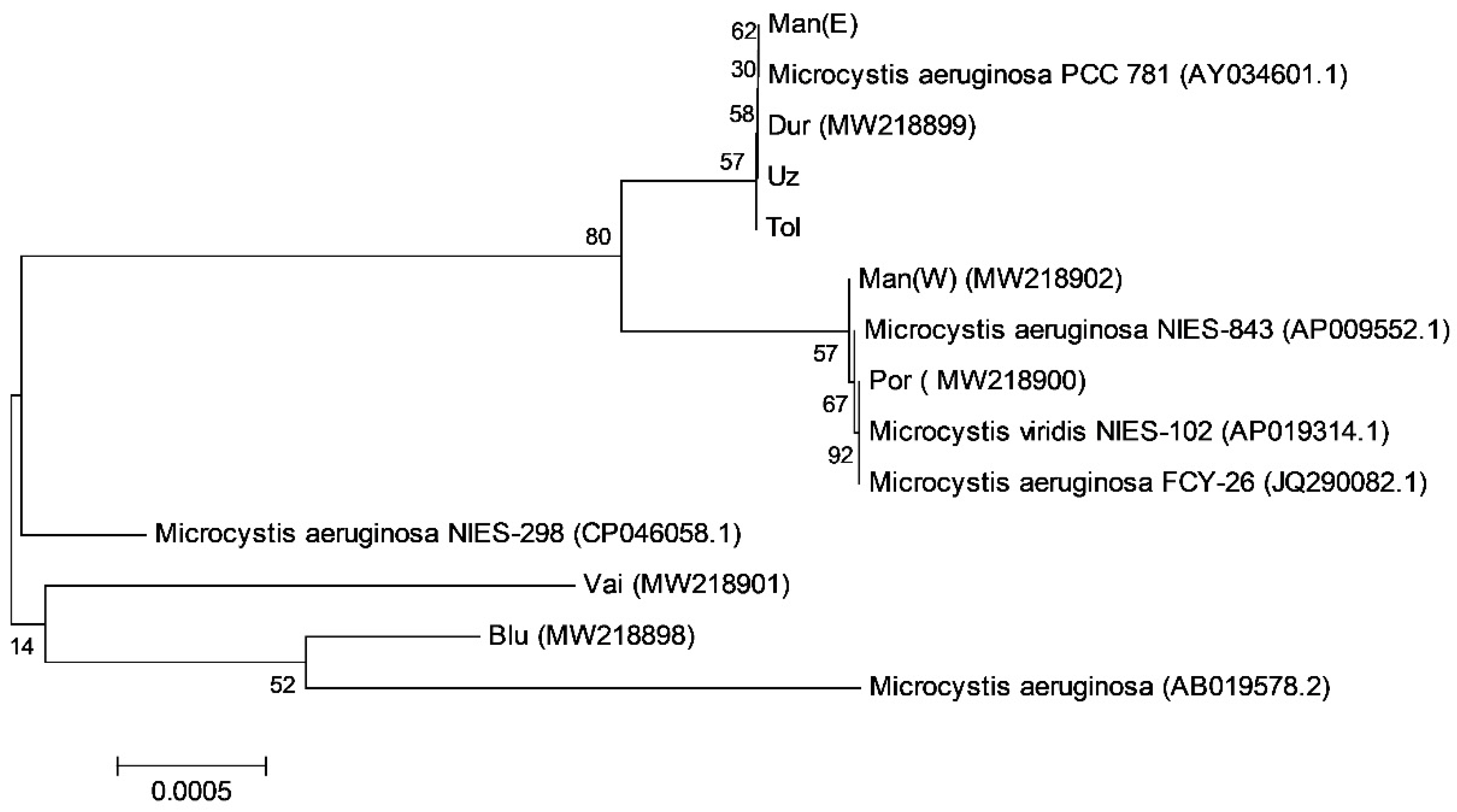 Applsci 11 00357 g008