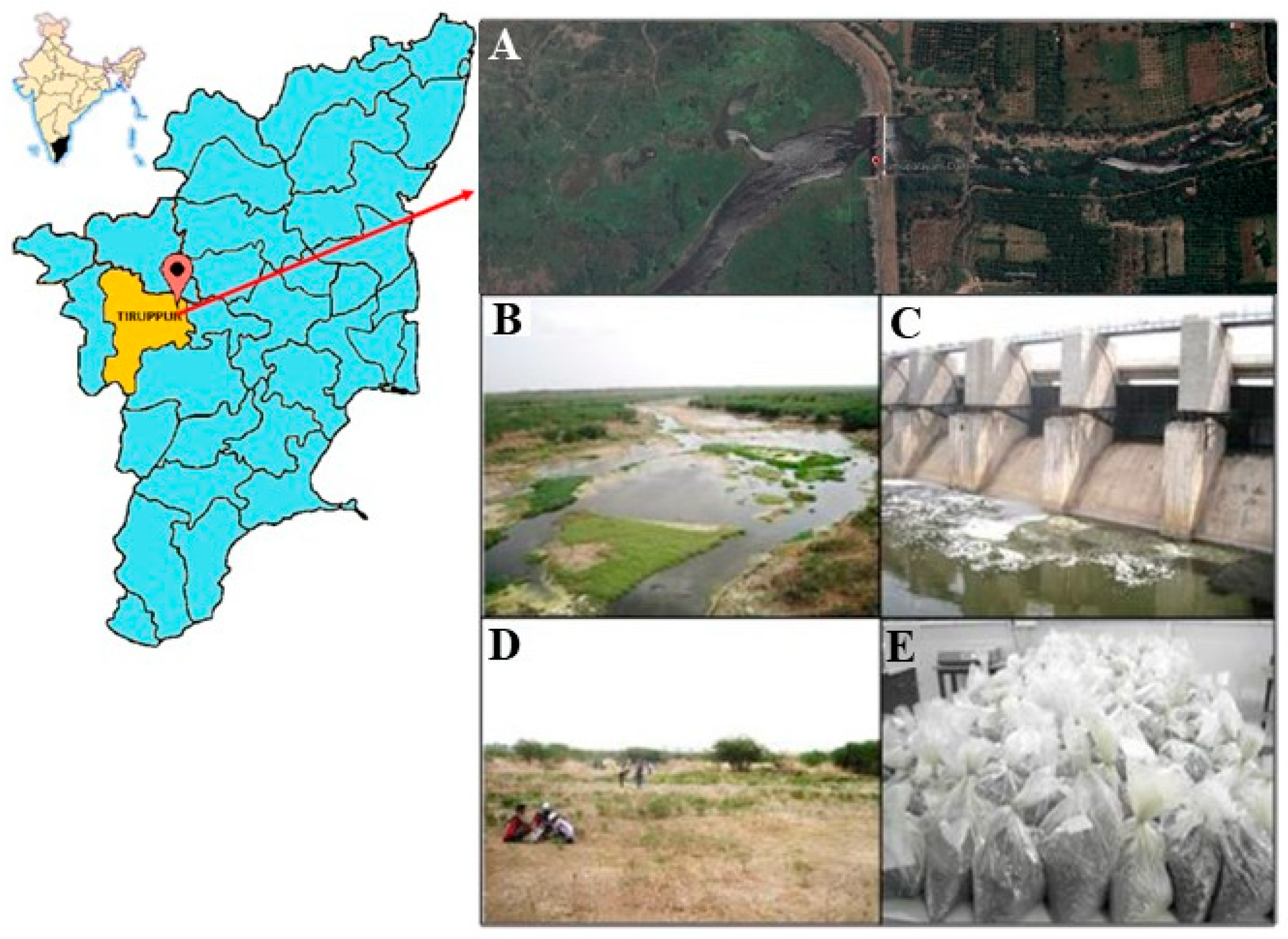 Applsci 11 00379 g001 Applsci 11 00379 g001