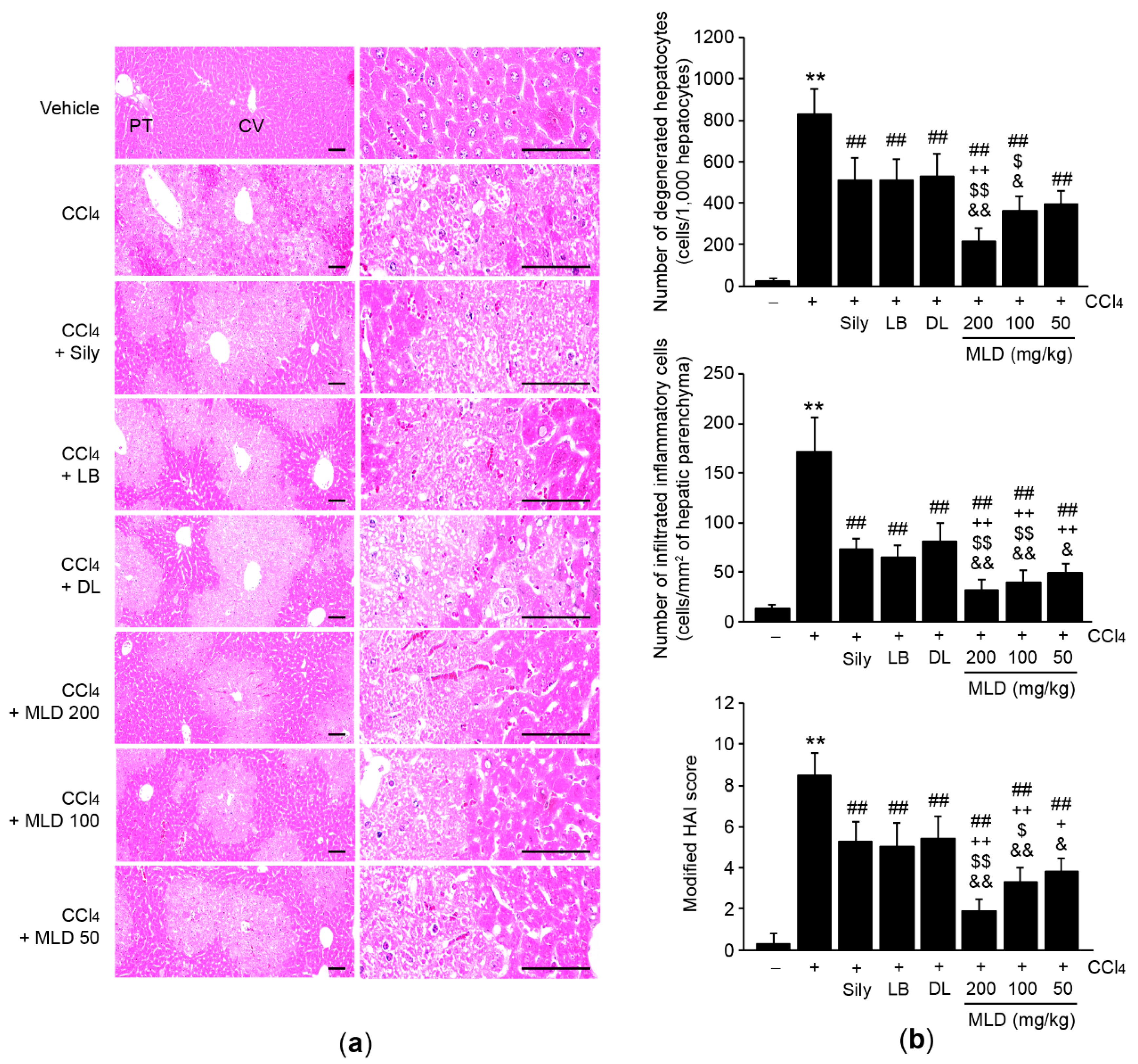 Applsci 11 00390 g002
