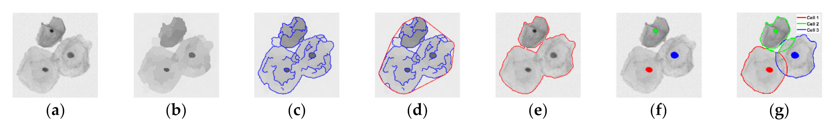 Applsci 11 00443 g002