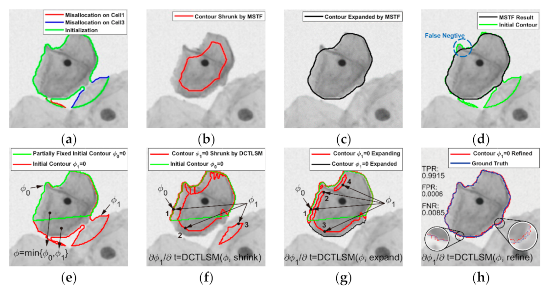 Applsci 11 00443 g003
