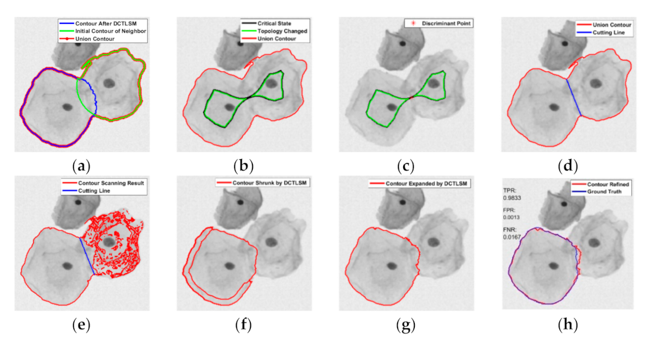 Applsci 11 00443 g005
