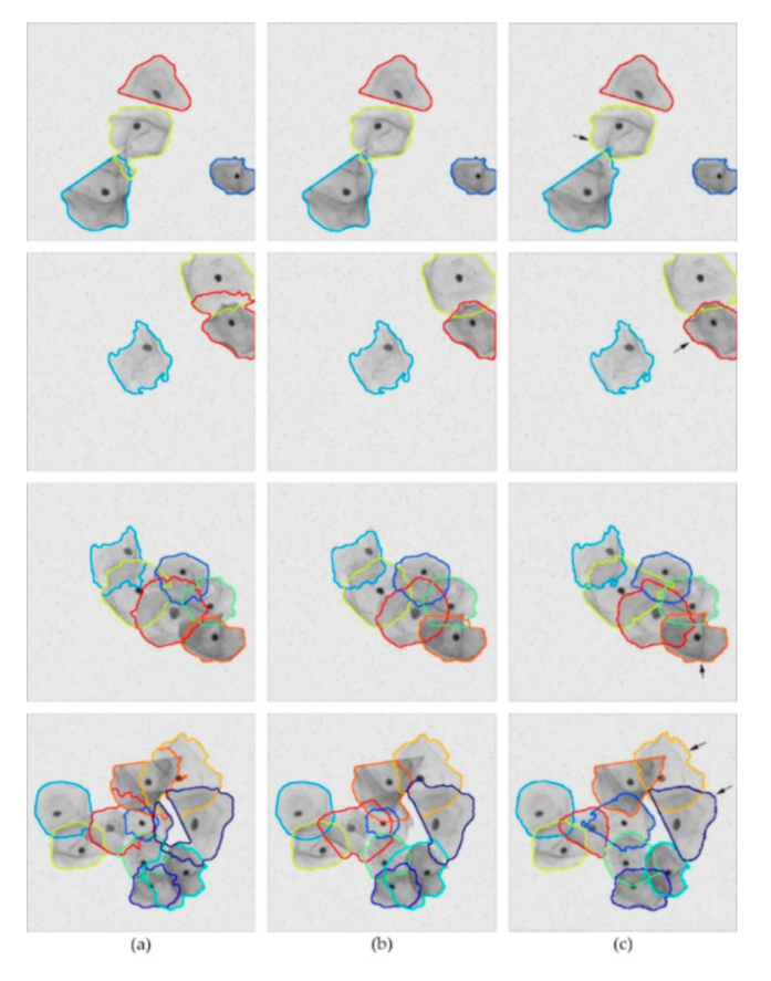 Applsci 11 00443 g011