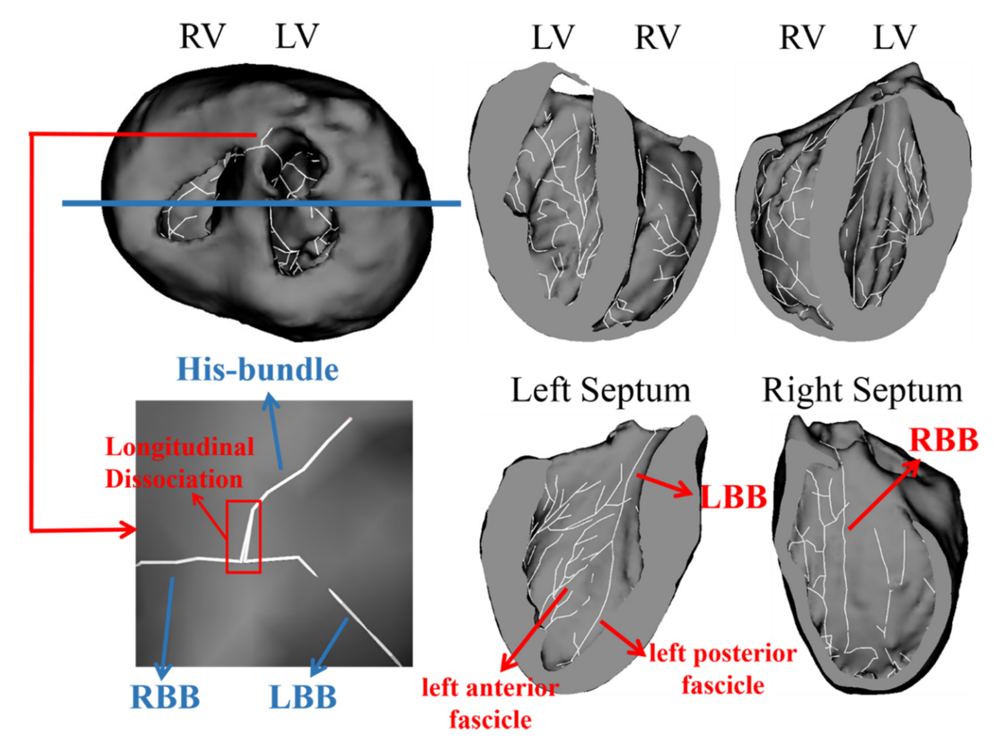 Applsci 11 00449 g001