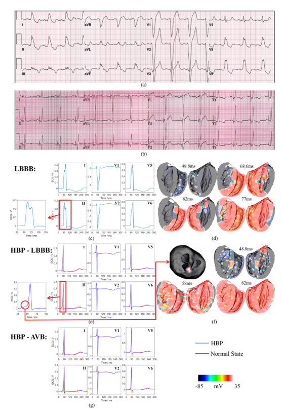 Applsci 11 00449 g004