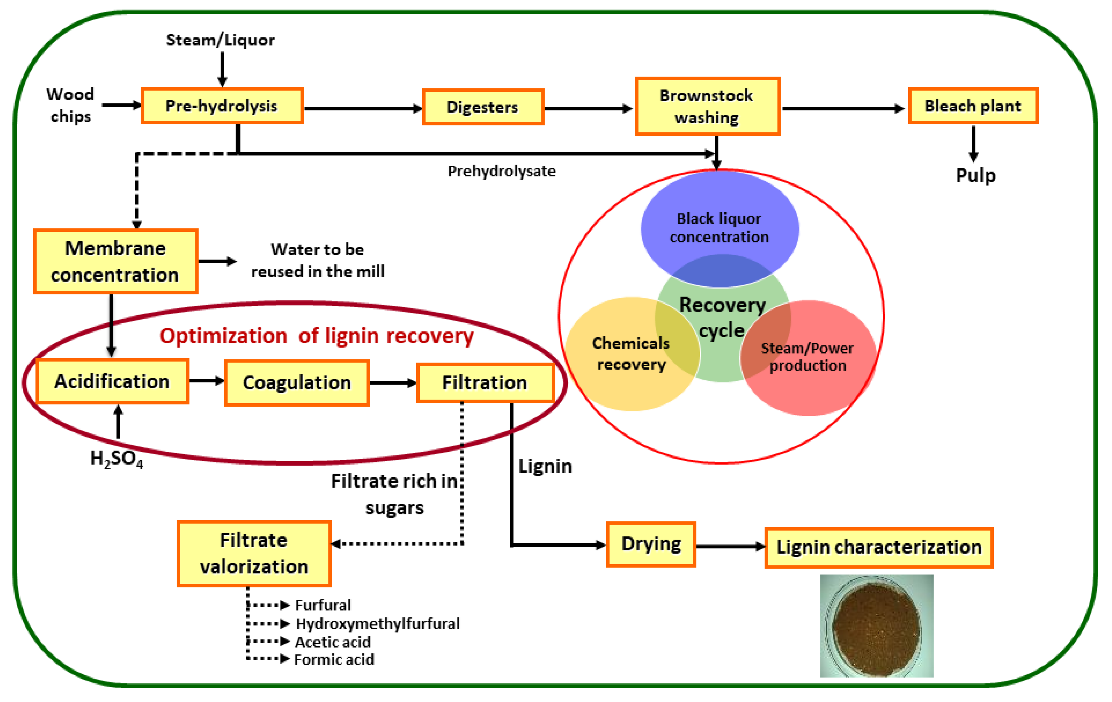 Applsci 11 00454 g001