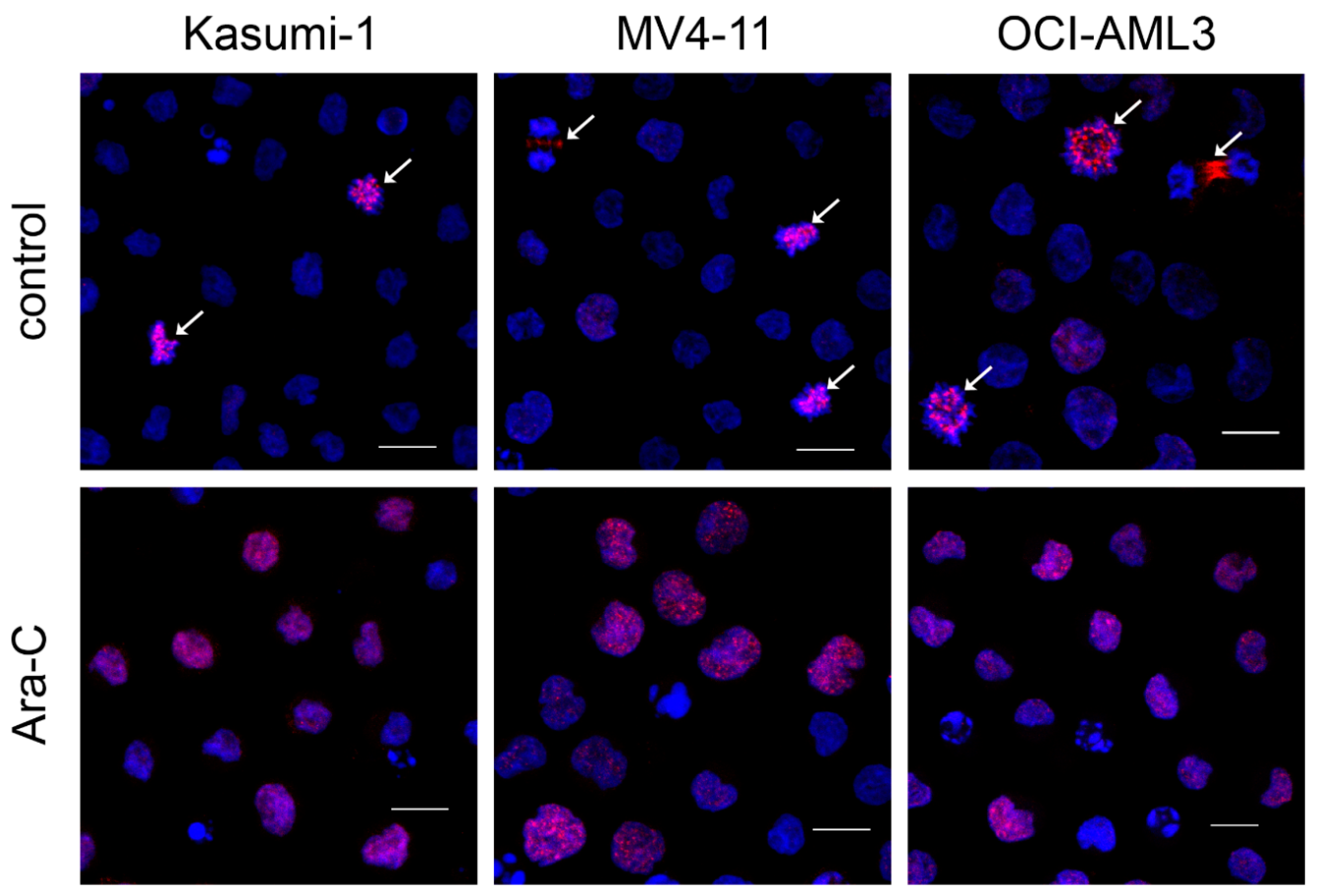 Applsci 11 00460 g002