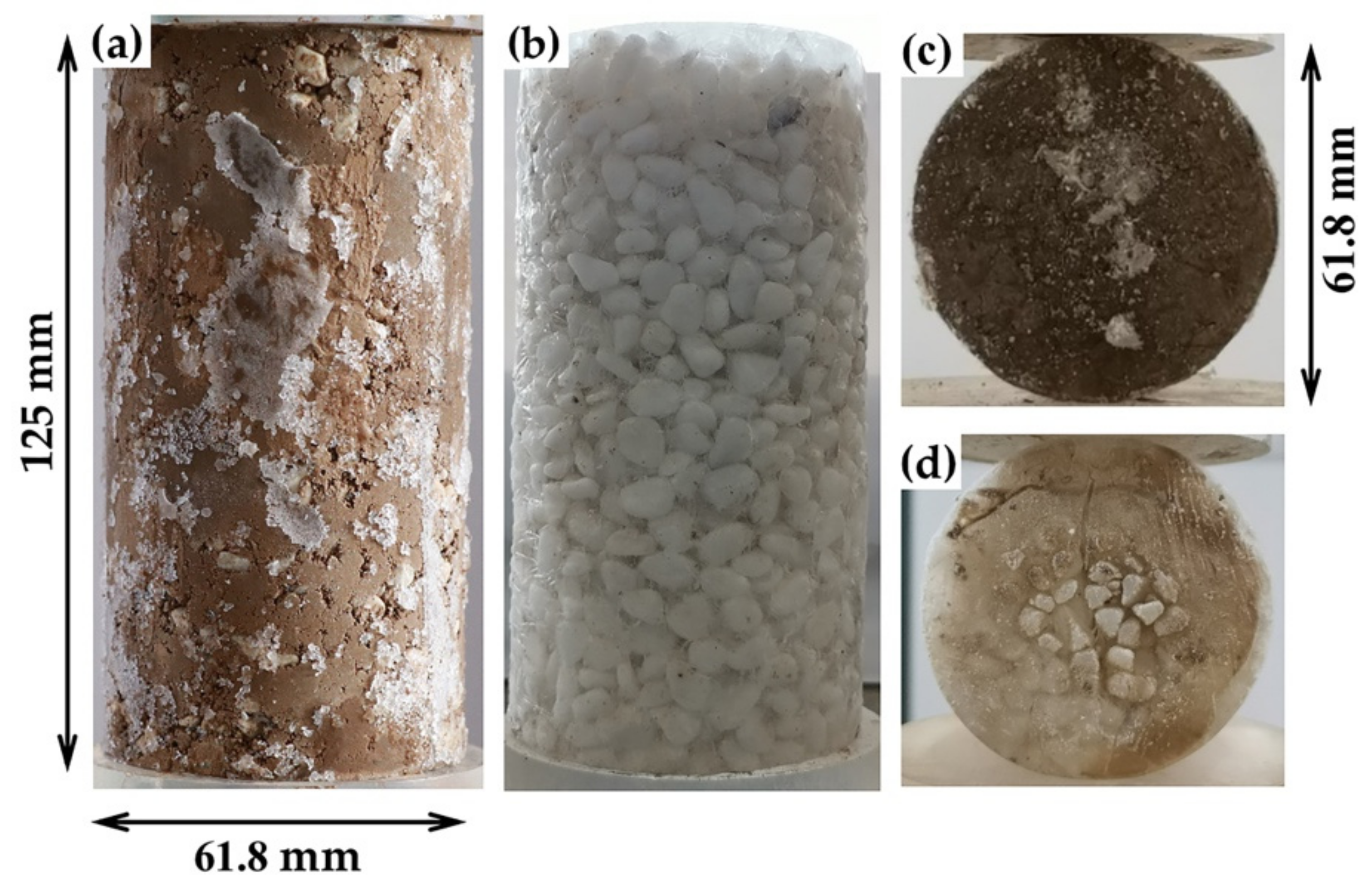 Applsci 11 00461 g002