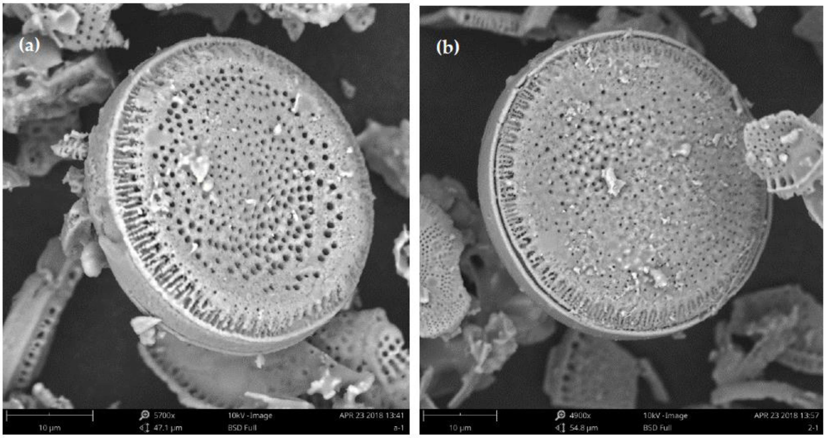 Applsci 11 00468 g002