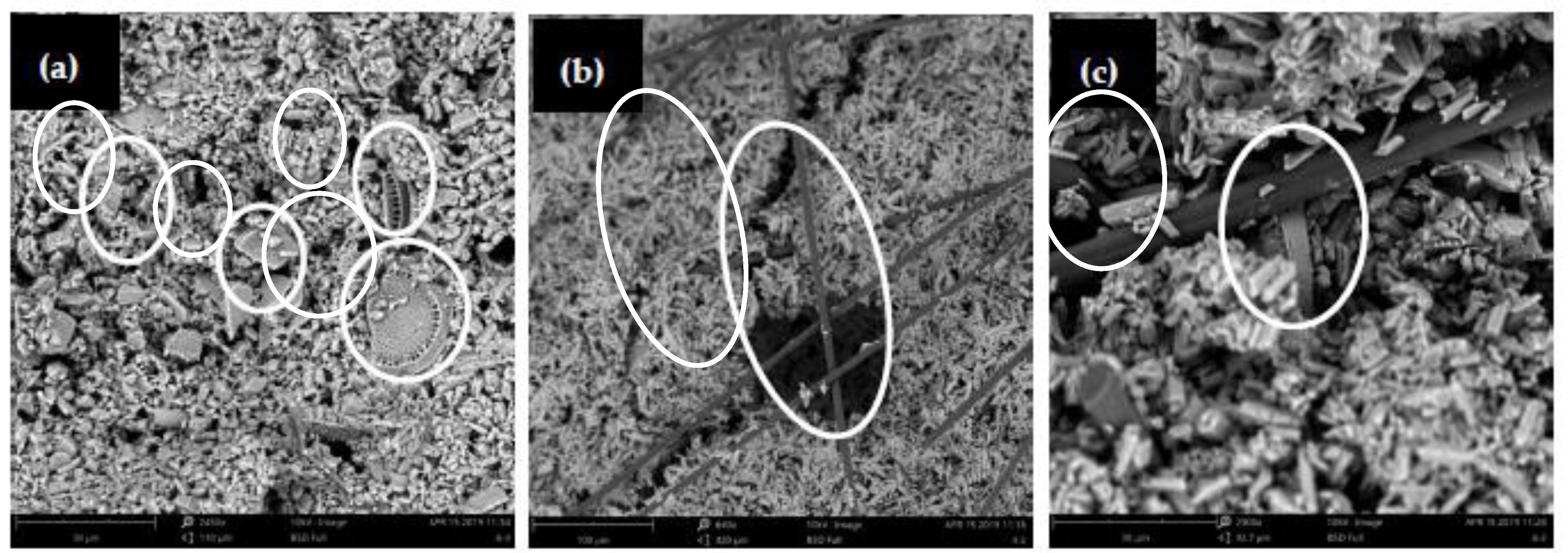 Applsci 11 00468 g010