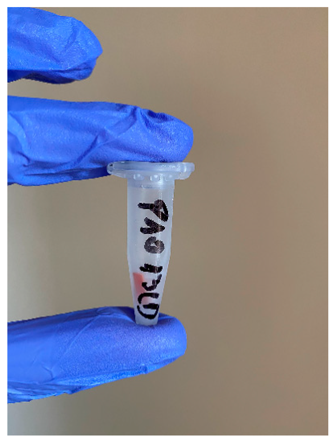 Applsci 11 00521 g004