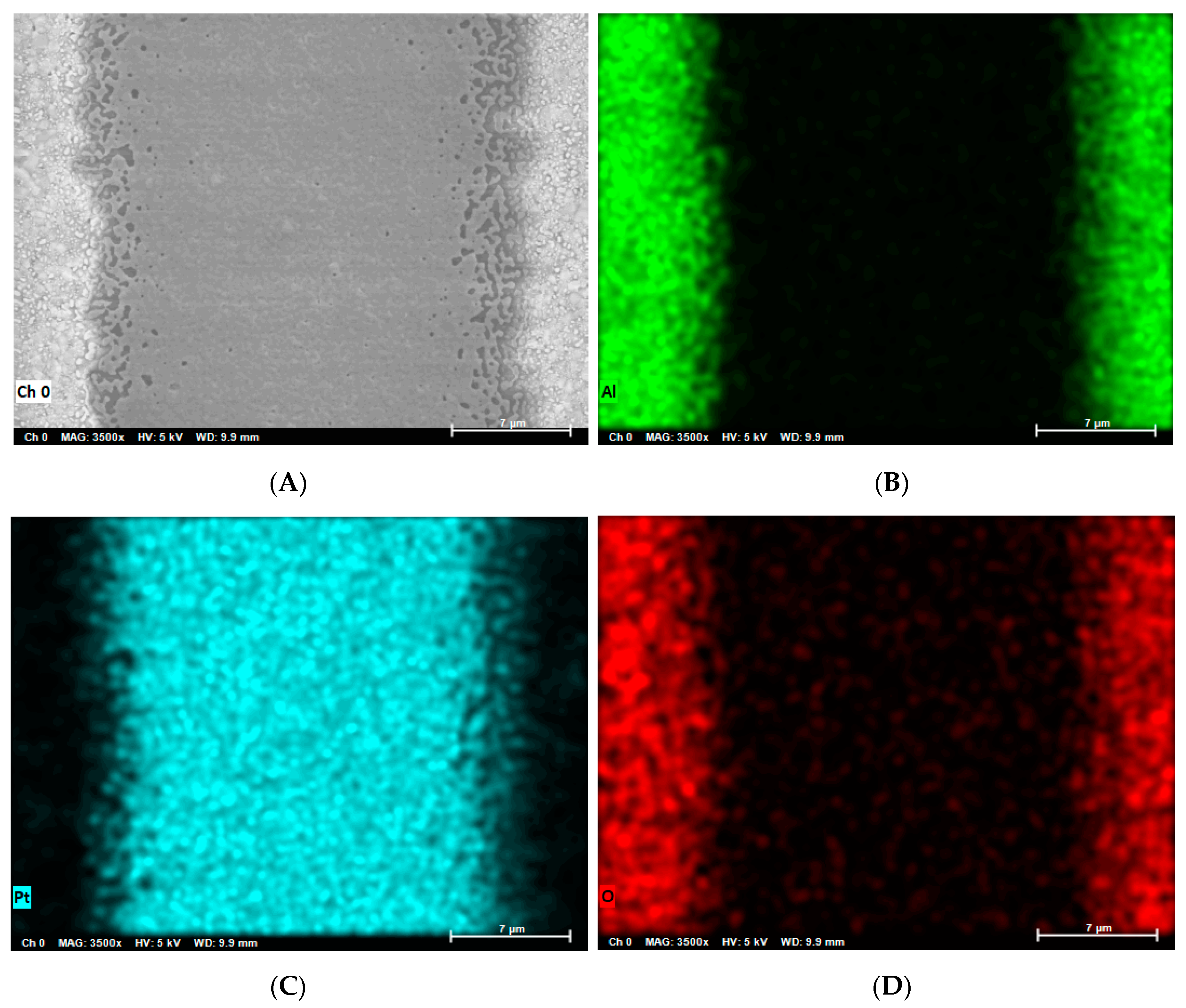 Applsci 11 00526 g006