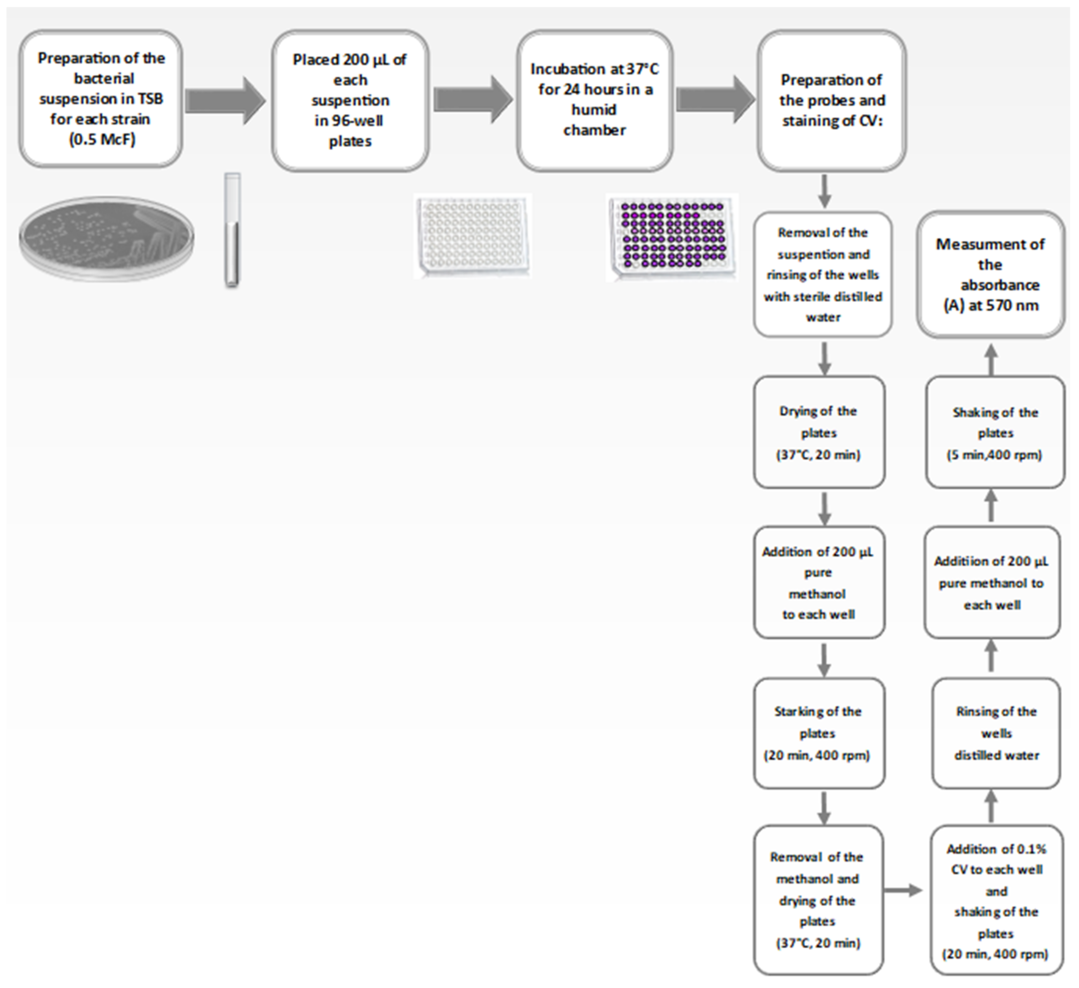 Applsci 11 00541 g002 Applsci 11 00541 g002