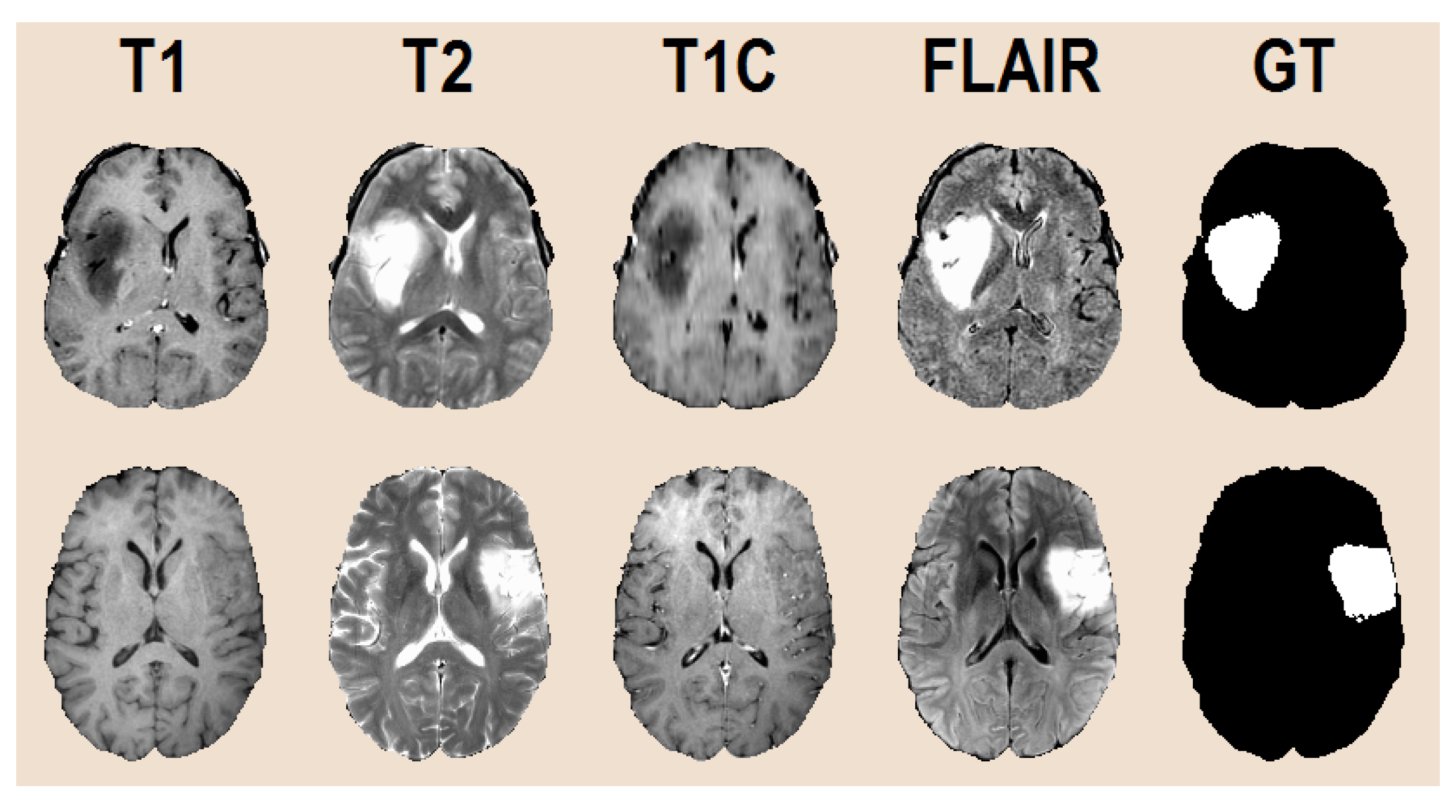 Applsci 11 00564 g002