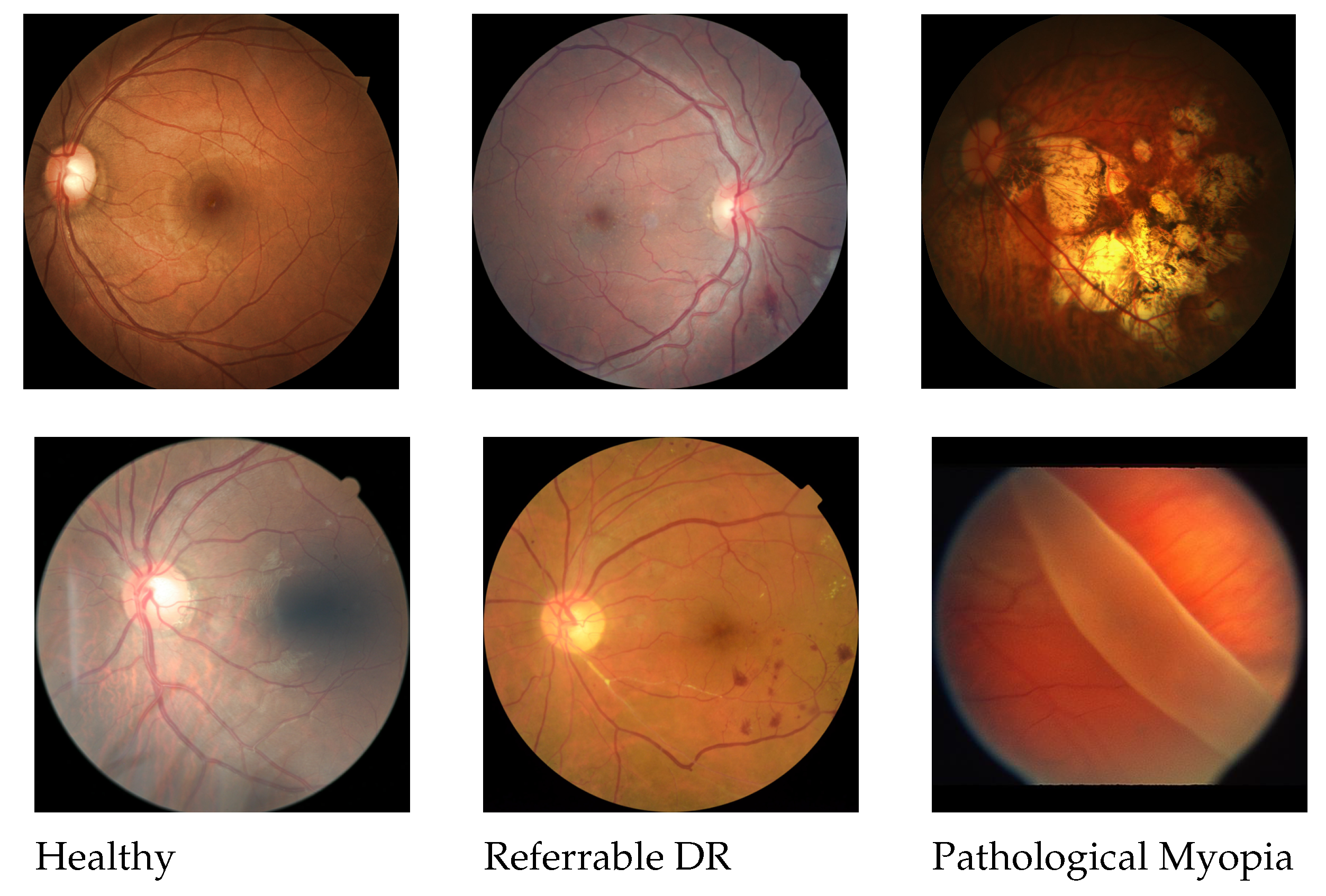 Applsci 11 00591 g001 Applsci 11 00591 g001