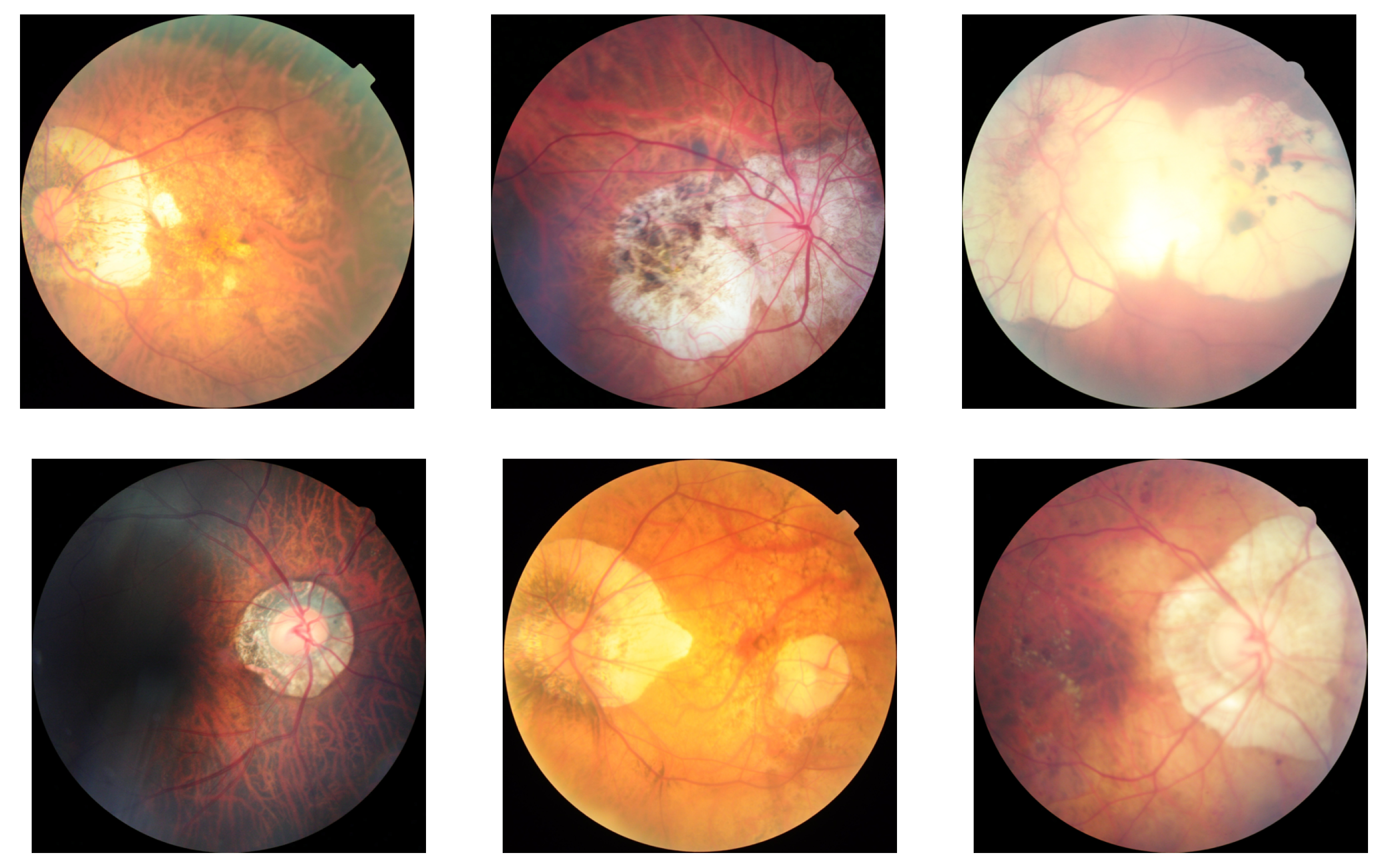 Applsci 11 00591 g002 Applsci 11 00591 g002