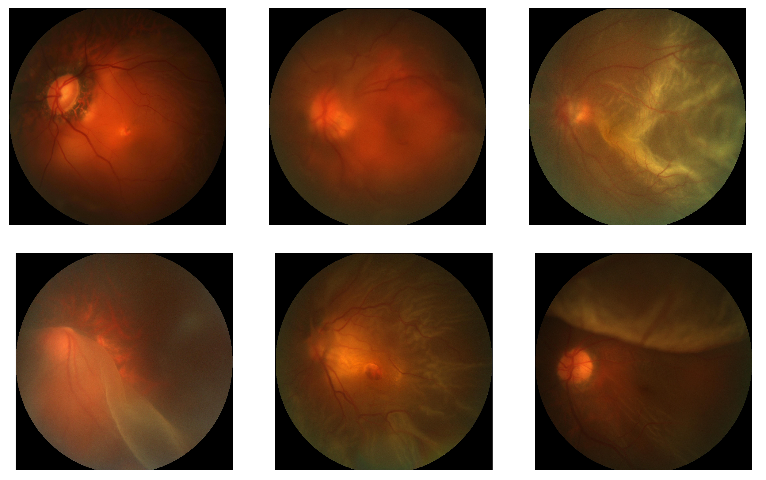 Applsci 11 00591 g003 Applsci 11 00591 g003