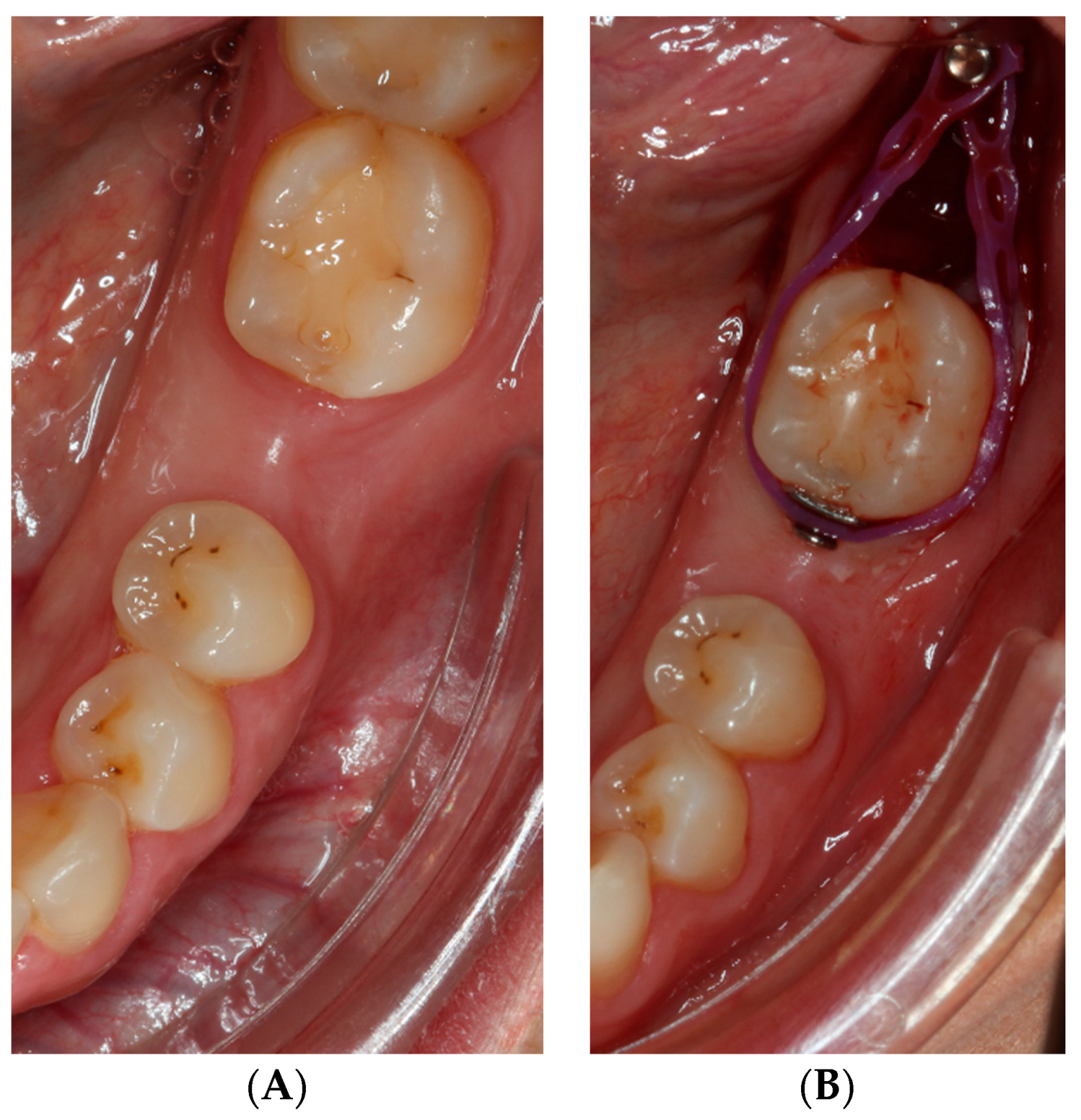 Applsci 11 00607 g001
