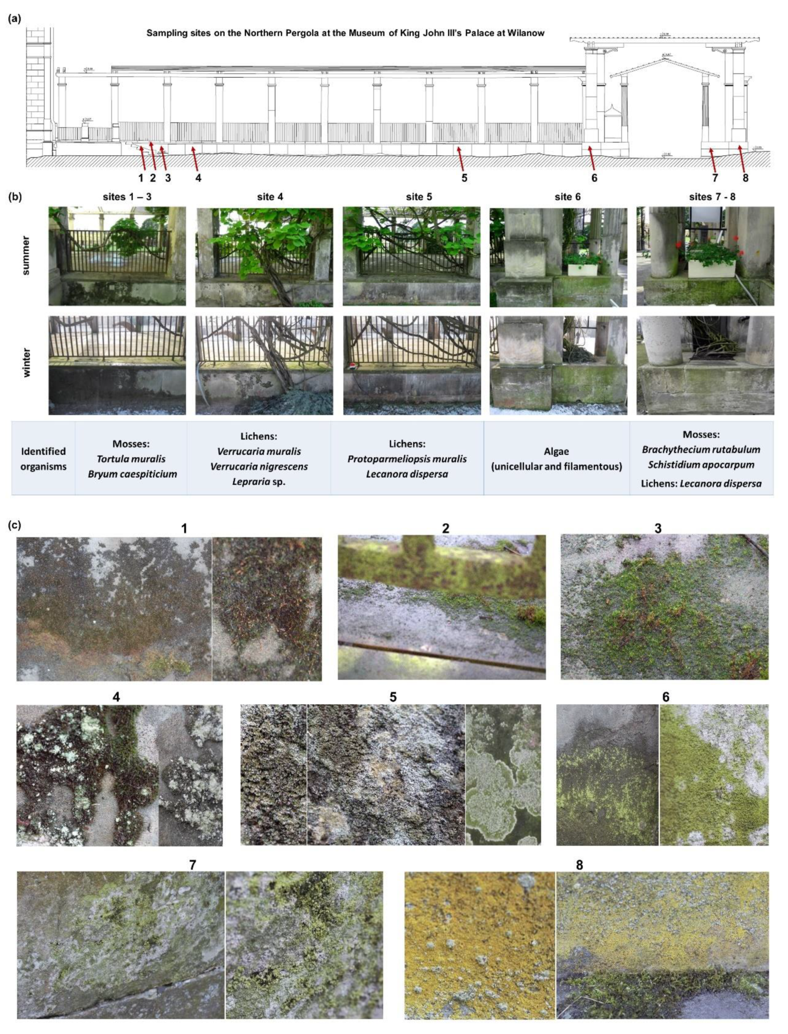 Applsci 11 00620 g002