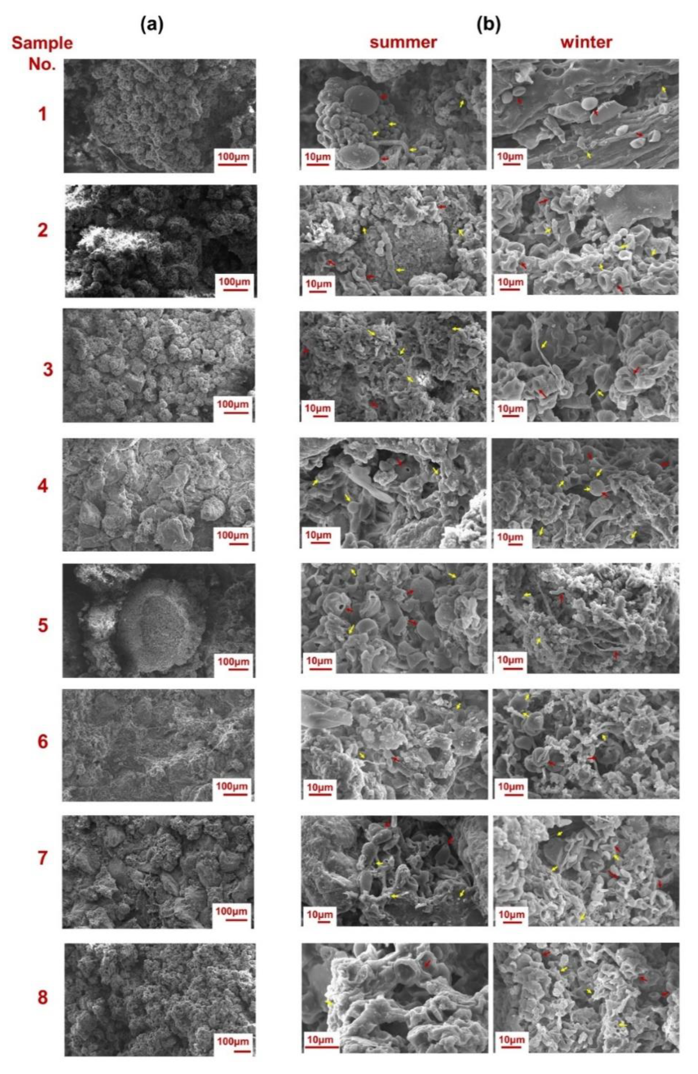 Applsci 11 00620 g003