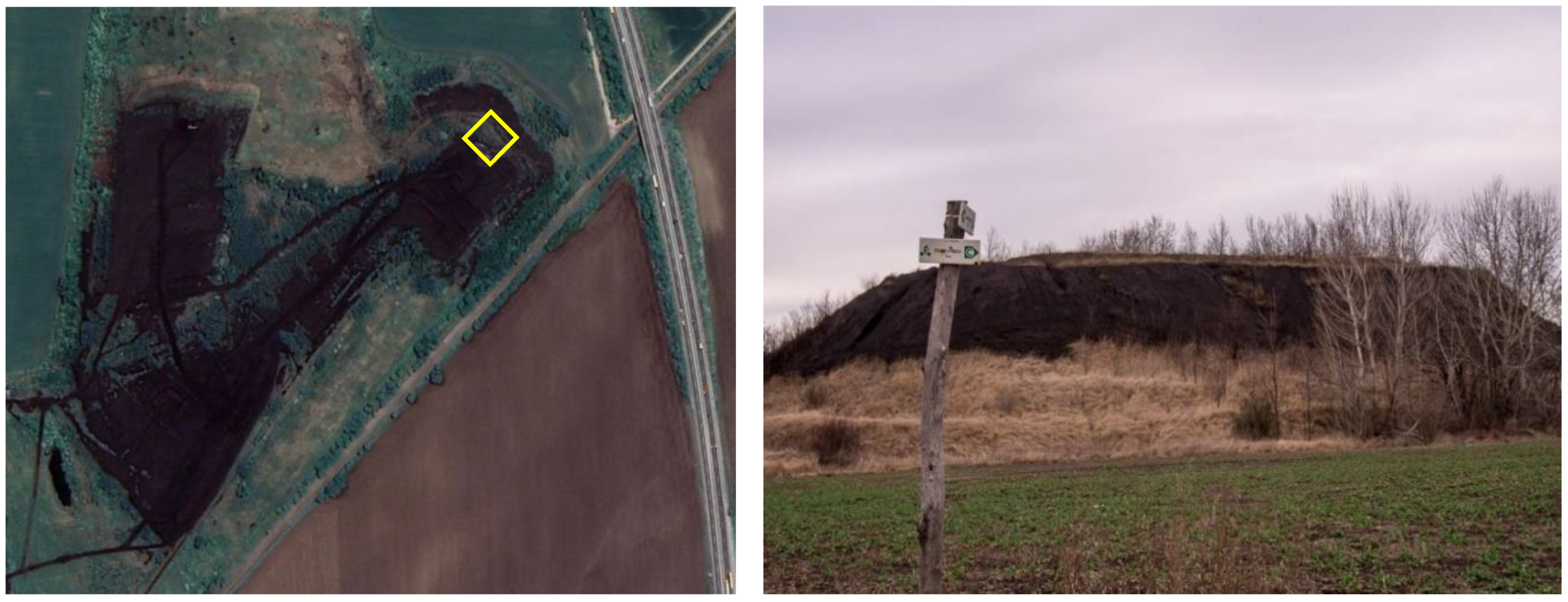 Applsci 11 00658 g002