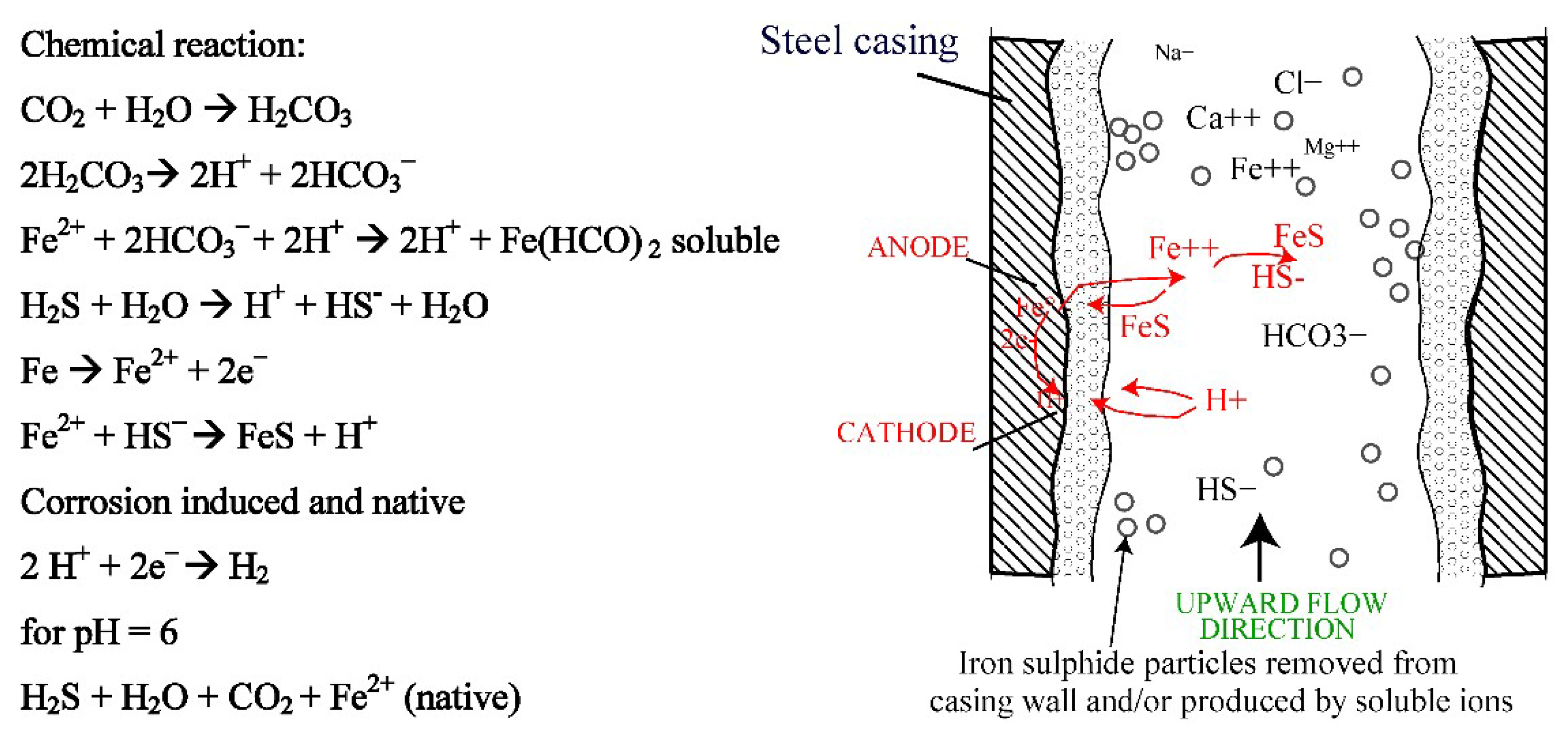 Applsci 11 00697 g002 Applsci 11 00697 g002