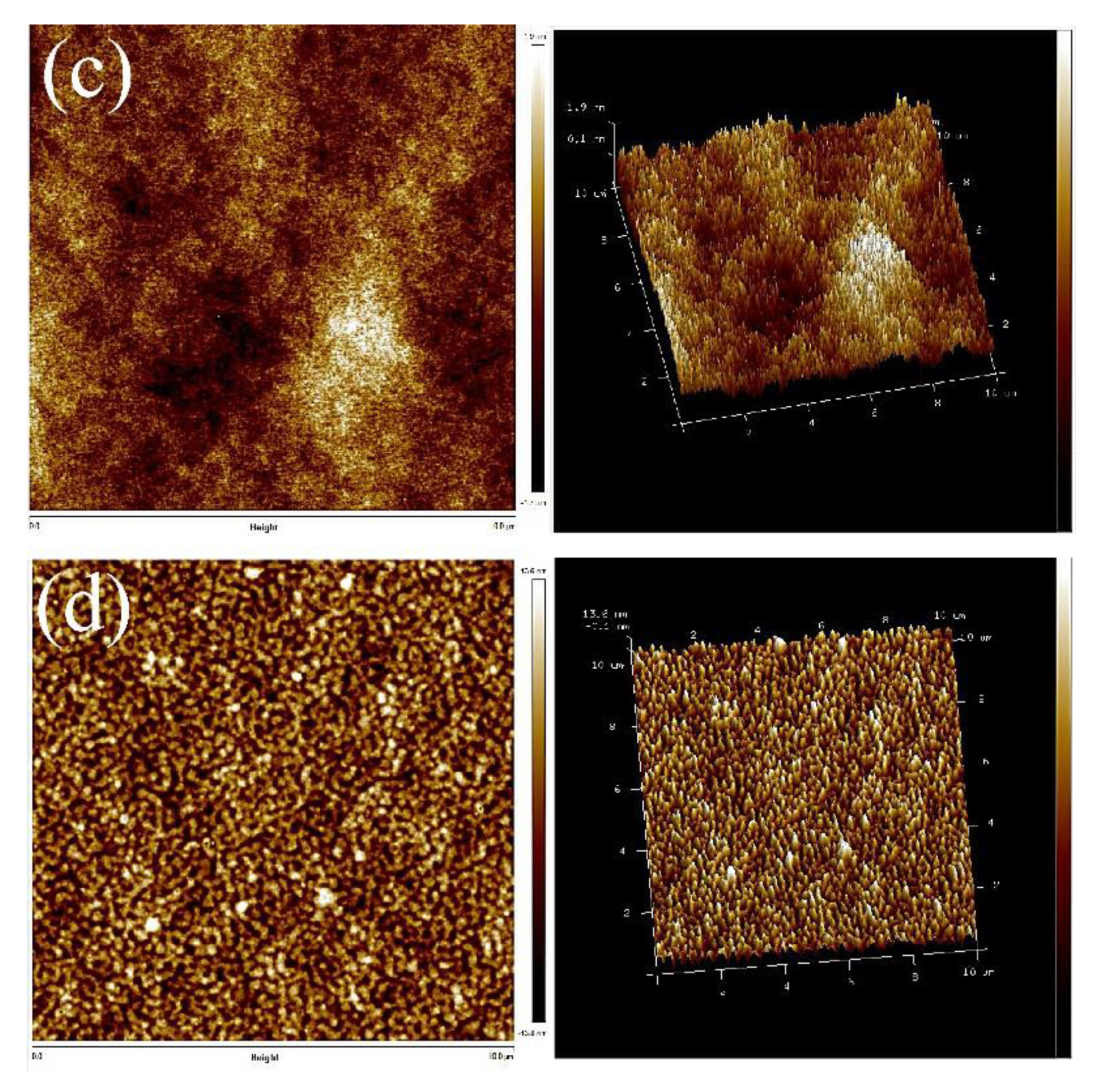 Applsci 11 00698 g005b