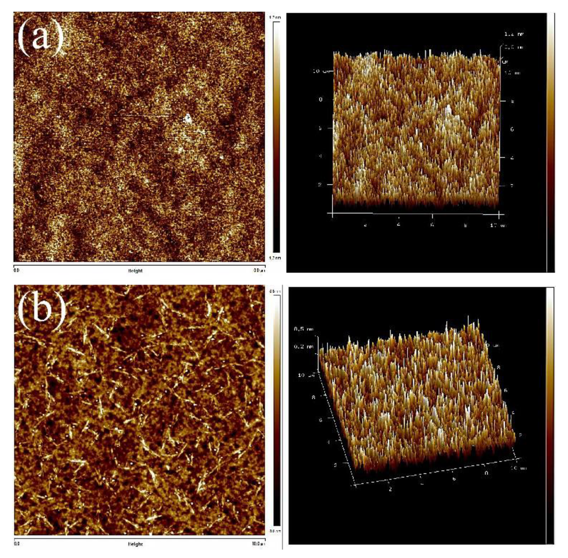 Applsci 11 00698 g006