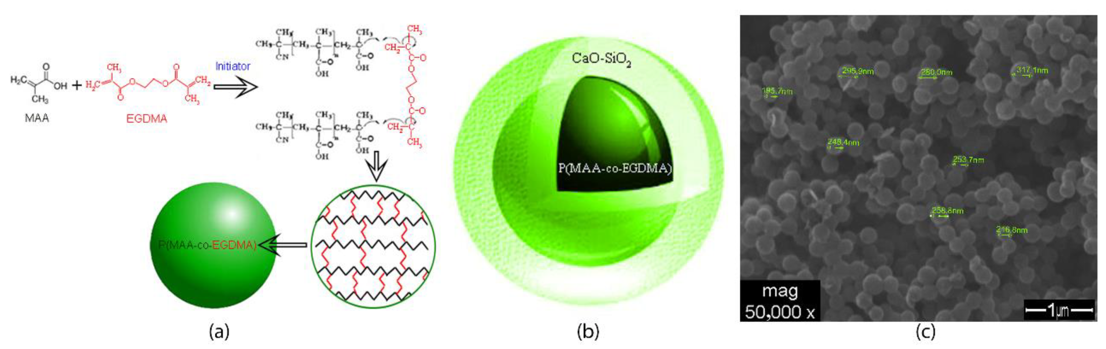 Applsci 11 00700 g001 Applsci 11 00700 g001