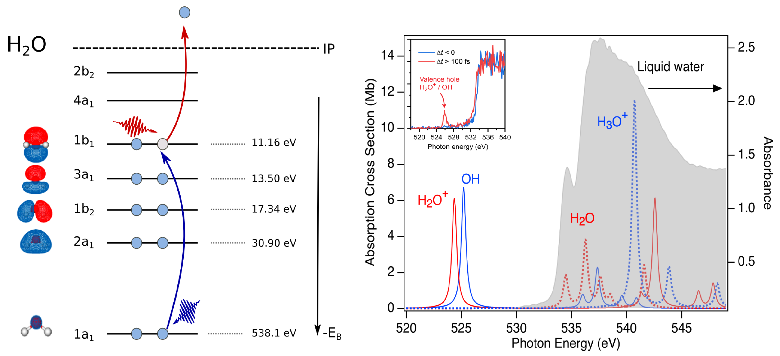 Applsci 11 00701 g002