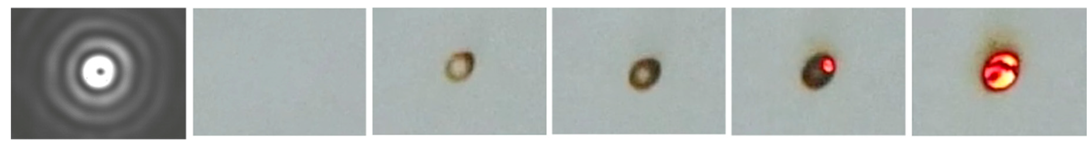 Applsci 11 00717 g003