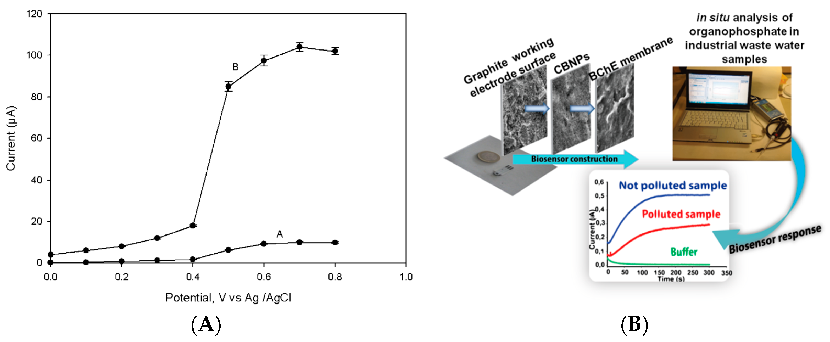 Applsci 11 00720 g002a