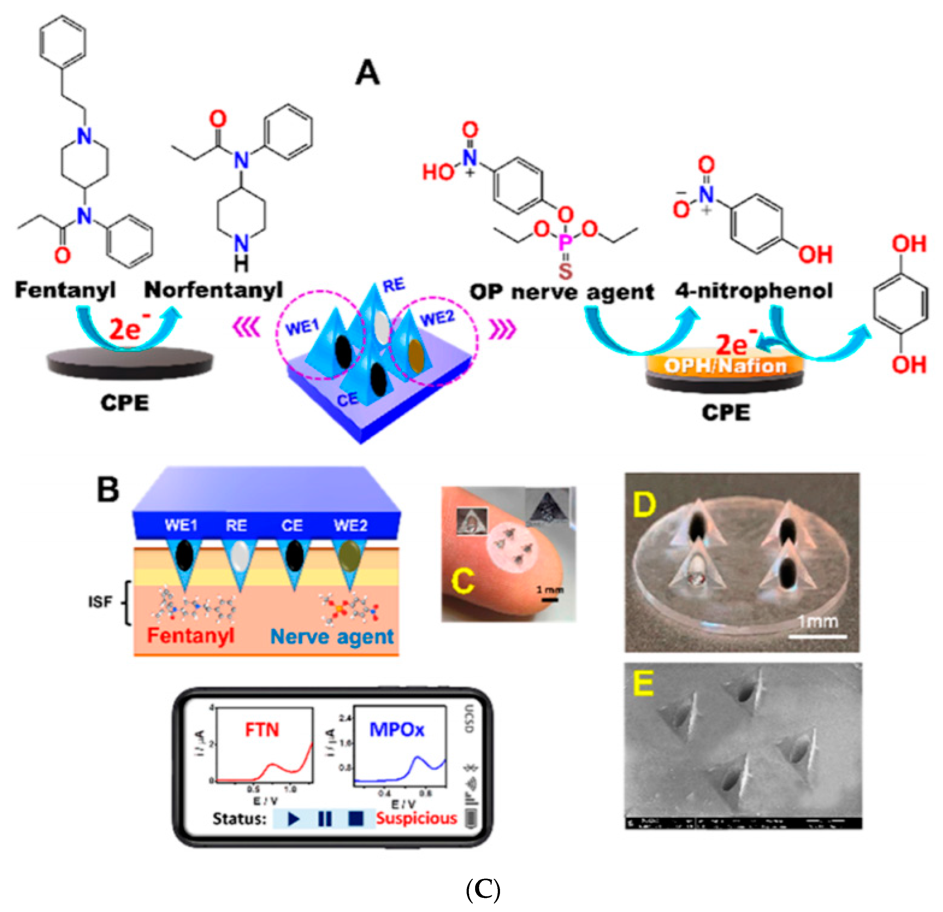 Applsci 11 00720 g004b