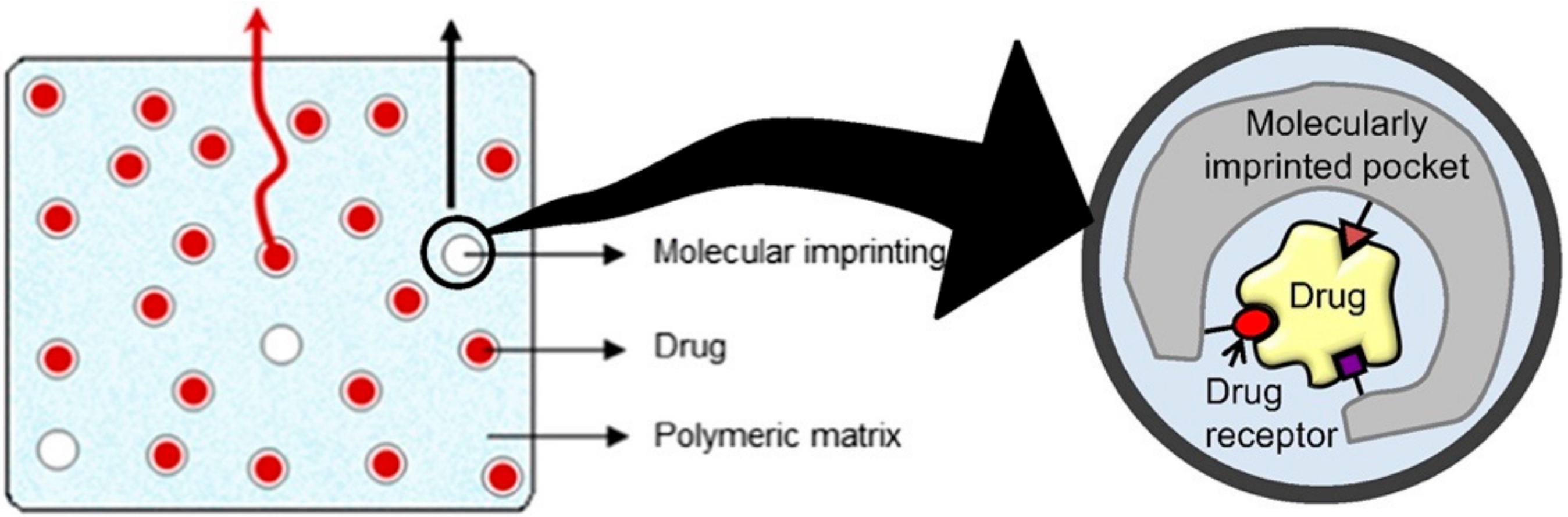 Applsci 11 00724 g004 Applsci 11 00724 g004